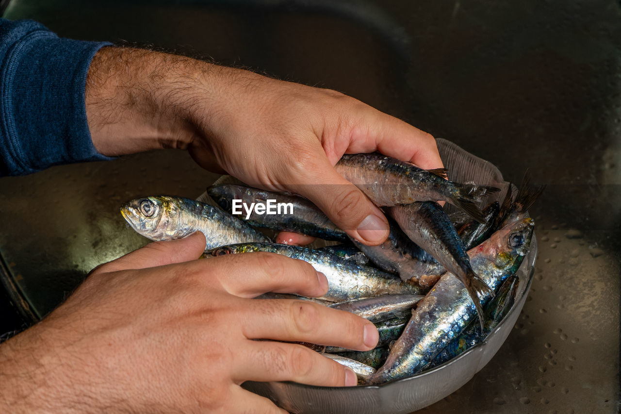 HIGH ANGLE VIEW OF PERSON HAND HOLDING FISH IN CONTAINER