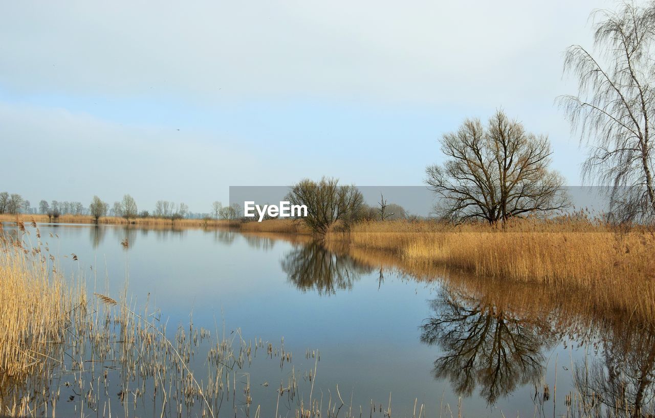 REFLECTION OF TREES IN LAKE AGAINST SKY