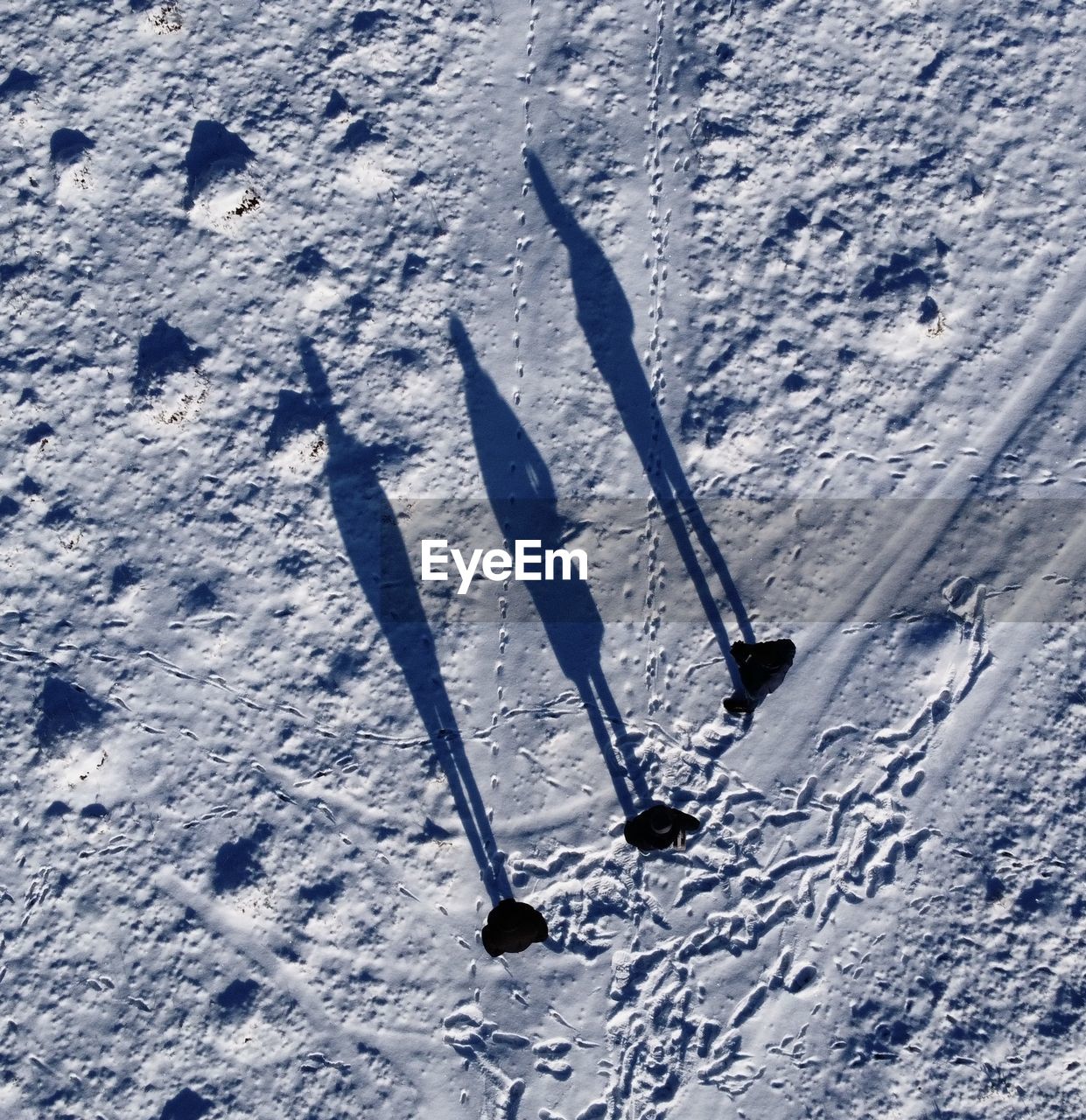 High angle view of people standing on snow