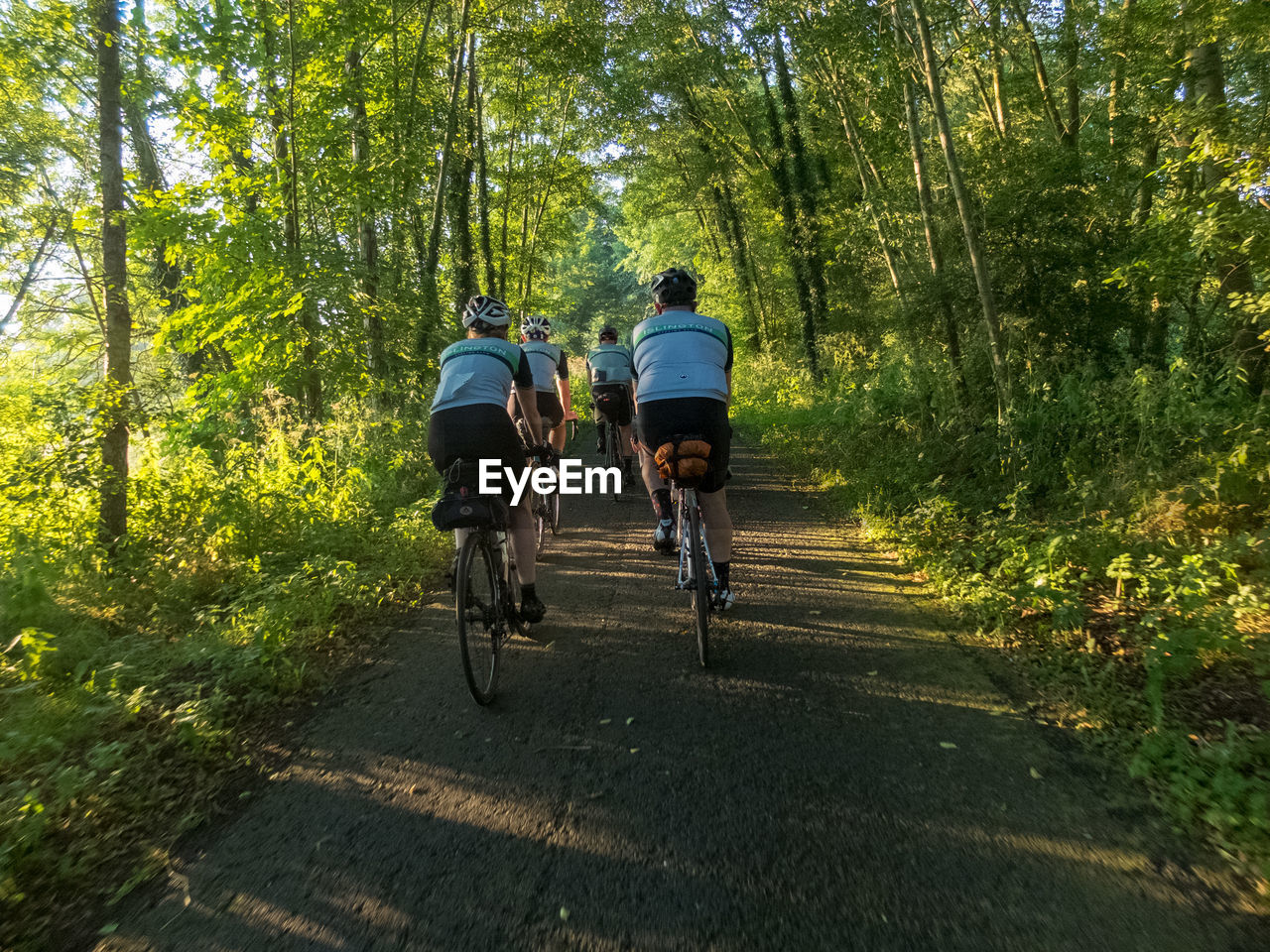 FULL LENGTH REAR VIEW OF MAN RIDING BICYCLE ON FOREST