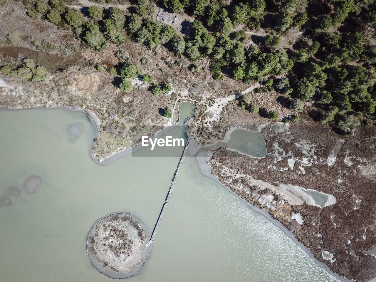 HIGH ANGLE VIEW OF PLANT ON SEA SHORE