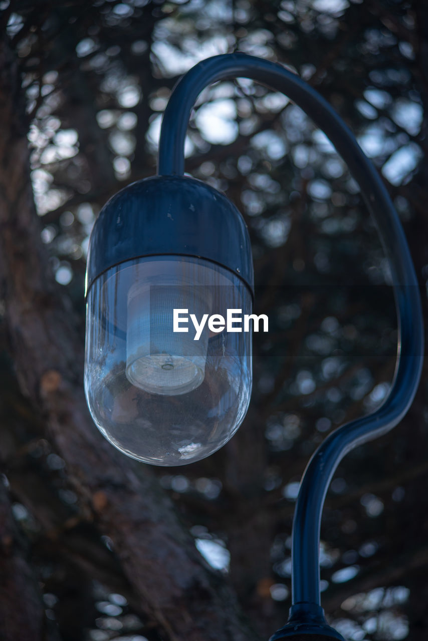 LOW ANGLE VIEW OF LIGHT BULB HANGING FROM TREE