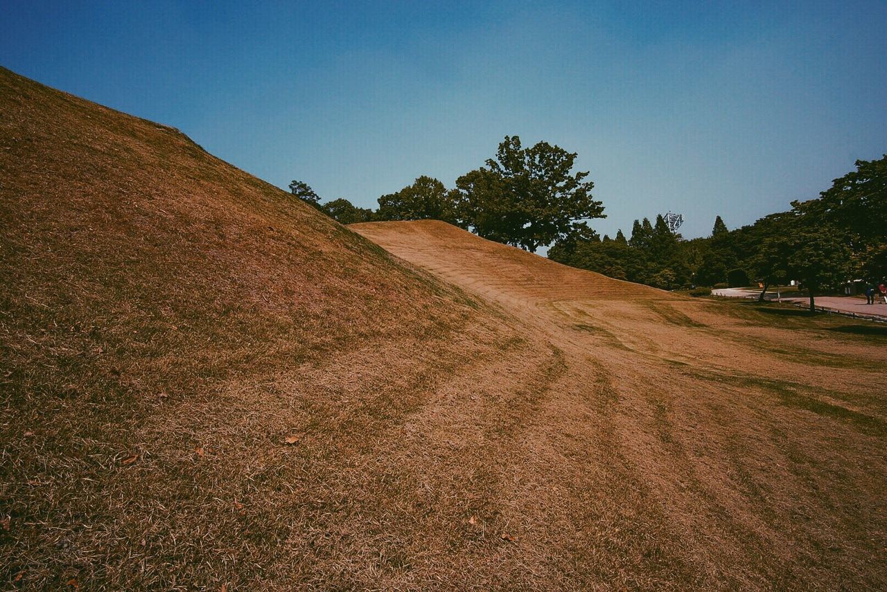 Scenic view of landscape against clear sky