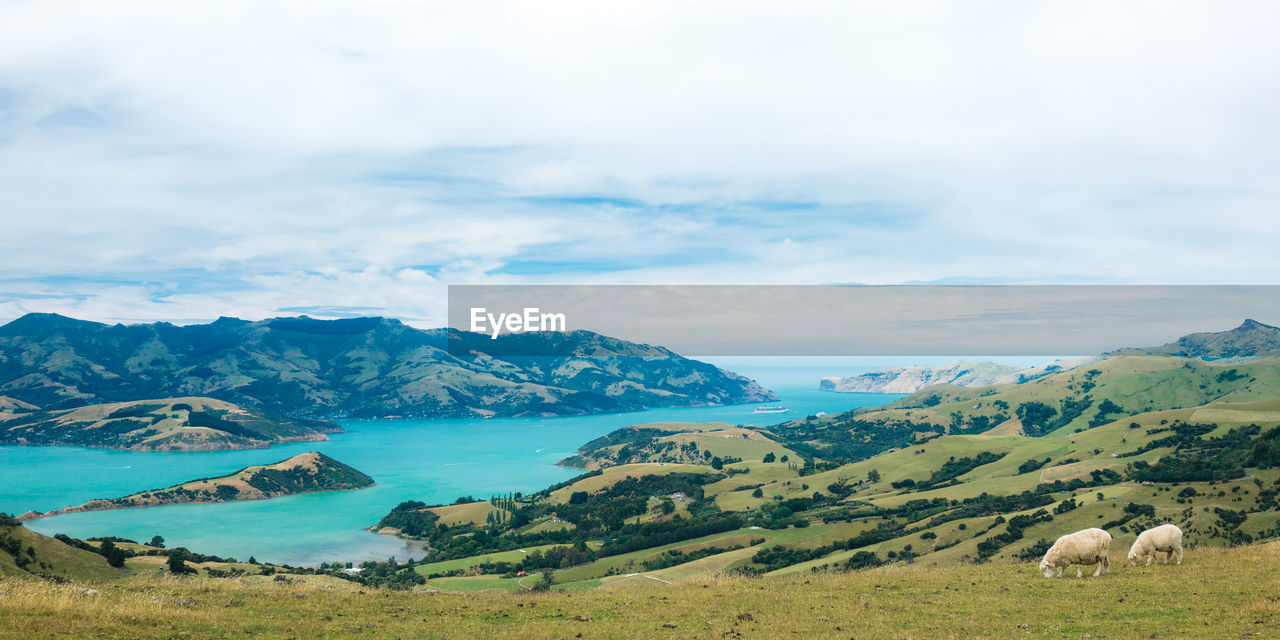 PANORAMIC VIEW OF AGRICULTURAL LANDSCAPE AGAINST SKY