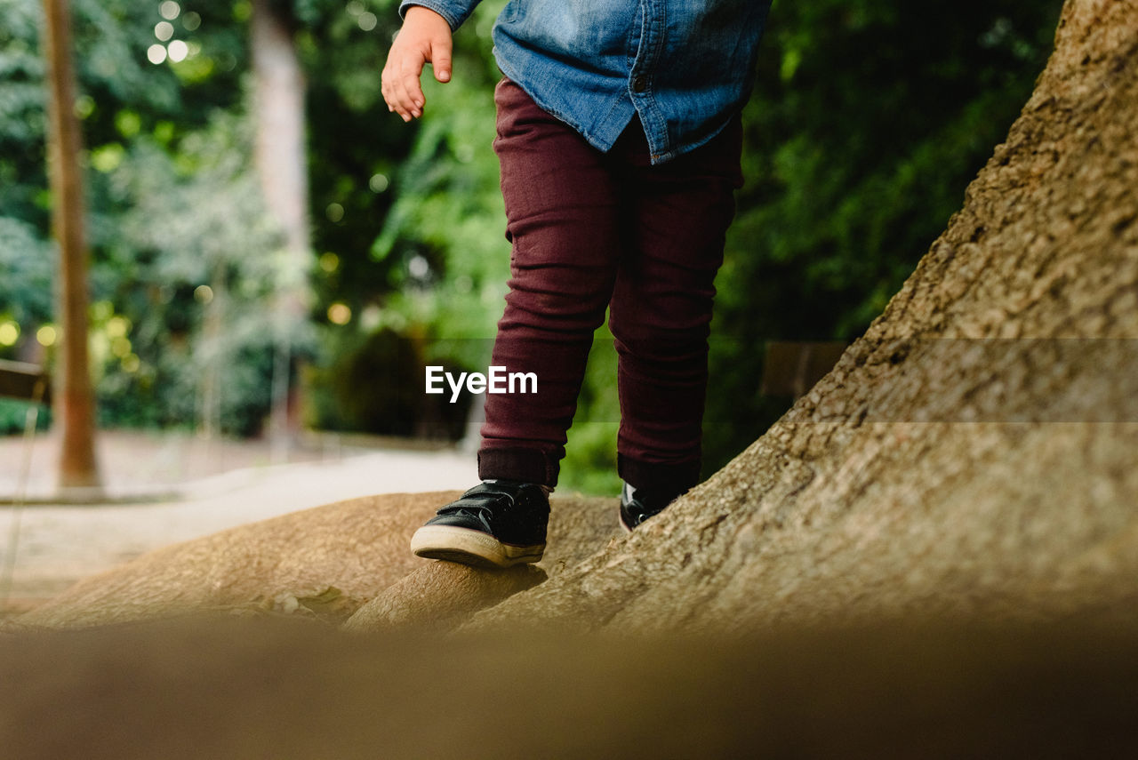 Low section of boy standing on rock