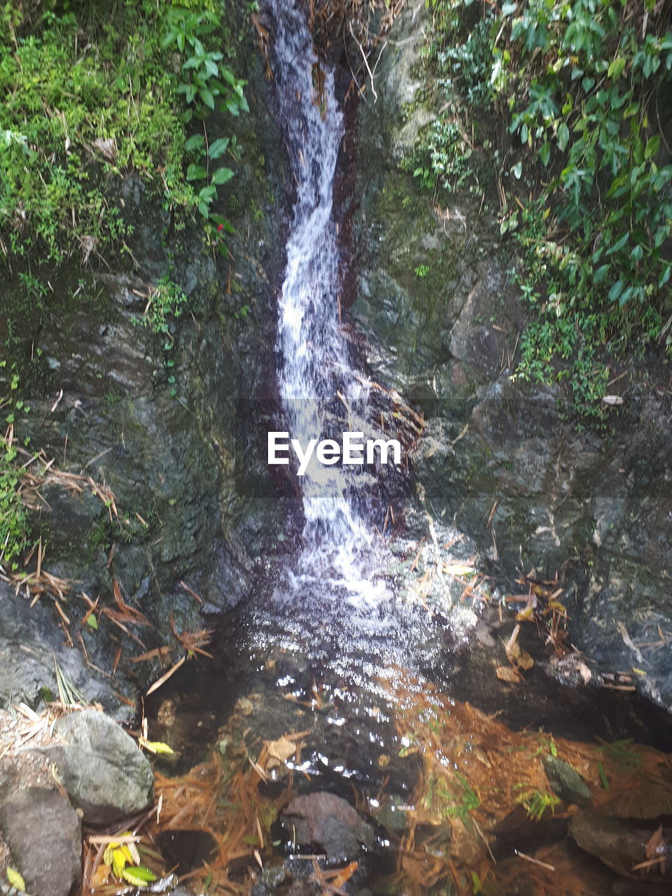 SCENIC VIEW OF WATERFALL