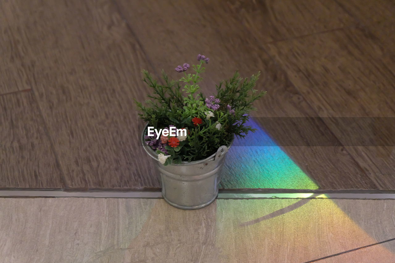 HIGH ANGLE VIEW OF POTTED PLANT ON TABLE