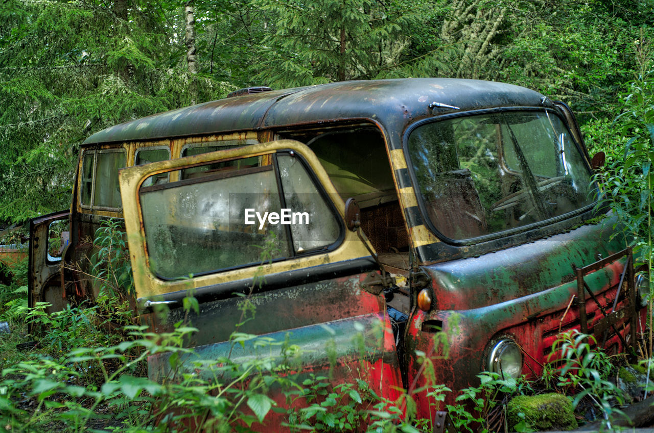 Abandoned car in forest