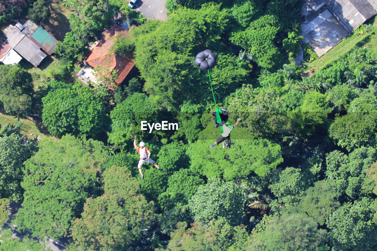 High angle view of lush foliage against trees