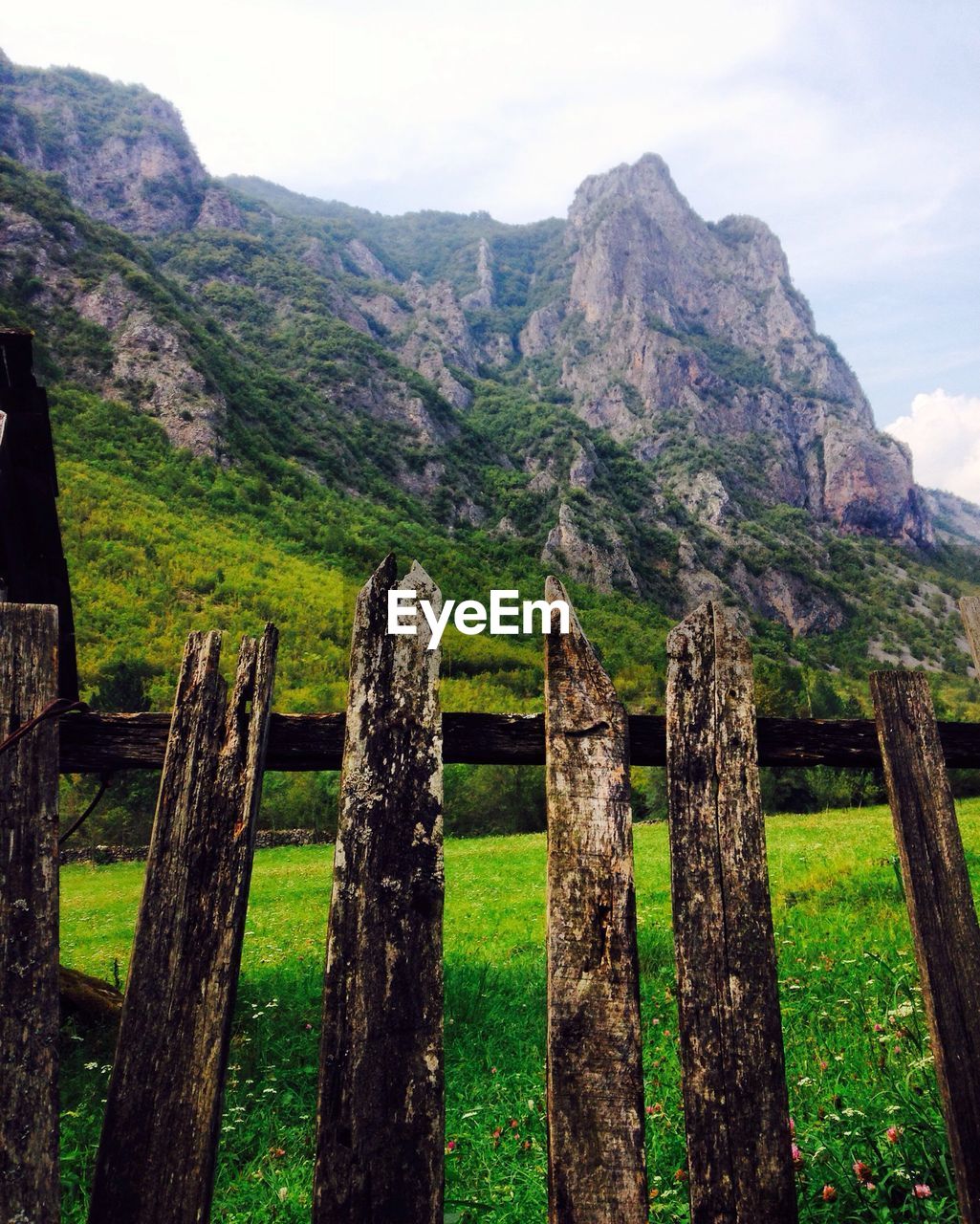 WOODEN POSTS ON GRASSY FIELD