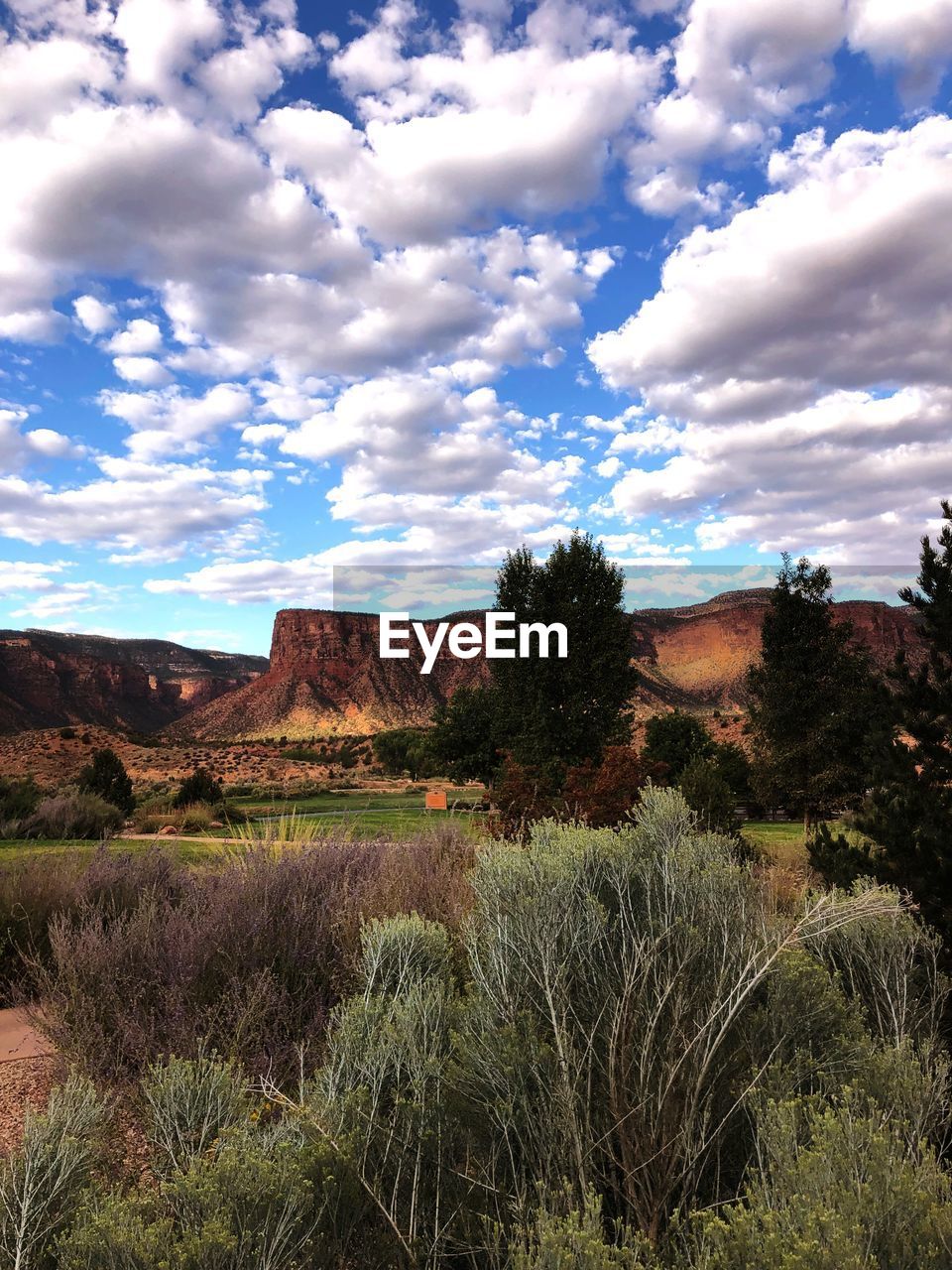 SCENIC VIEW OF FIELD AGAINST CLOUDY SKY