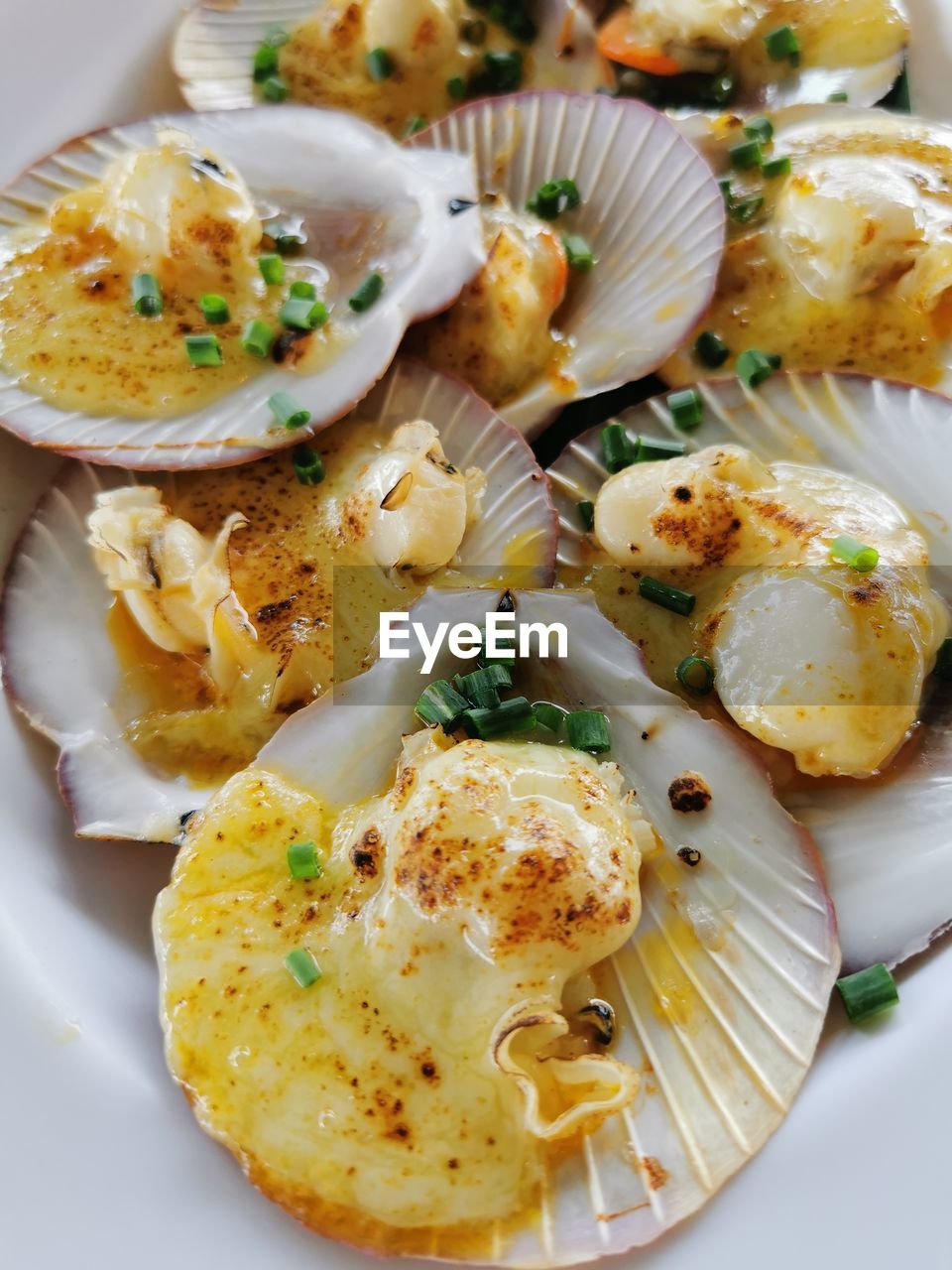 food, food and drink, healthy eating, seafood, freshness, dish, plate, vegetable, produce, herb, wellbeing, no people, cuisine, close-up, appetizer, meal, egg, scallop, animal, indoors, high angle view, plant
