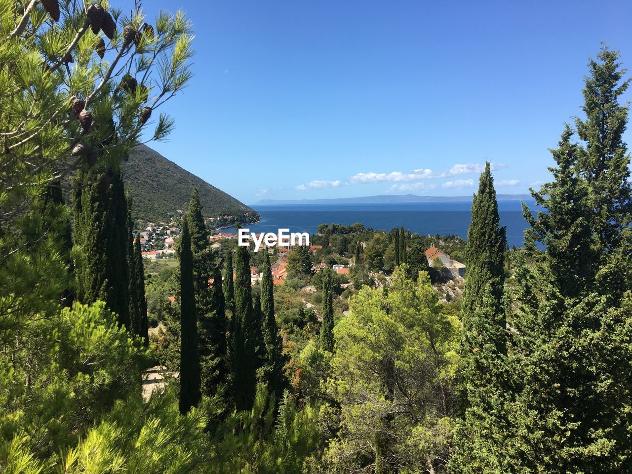 Panoramic view of trees and buildings against blue sky