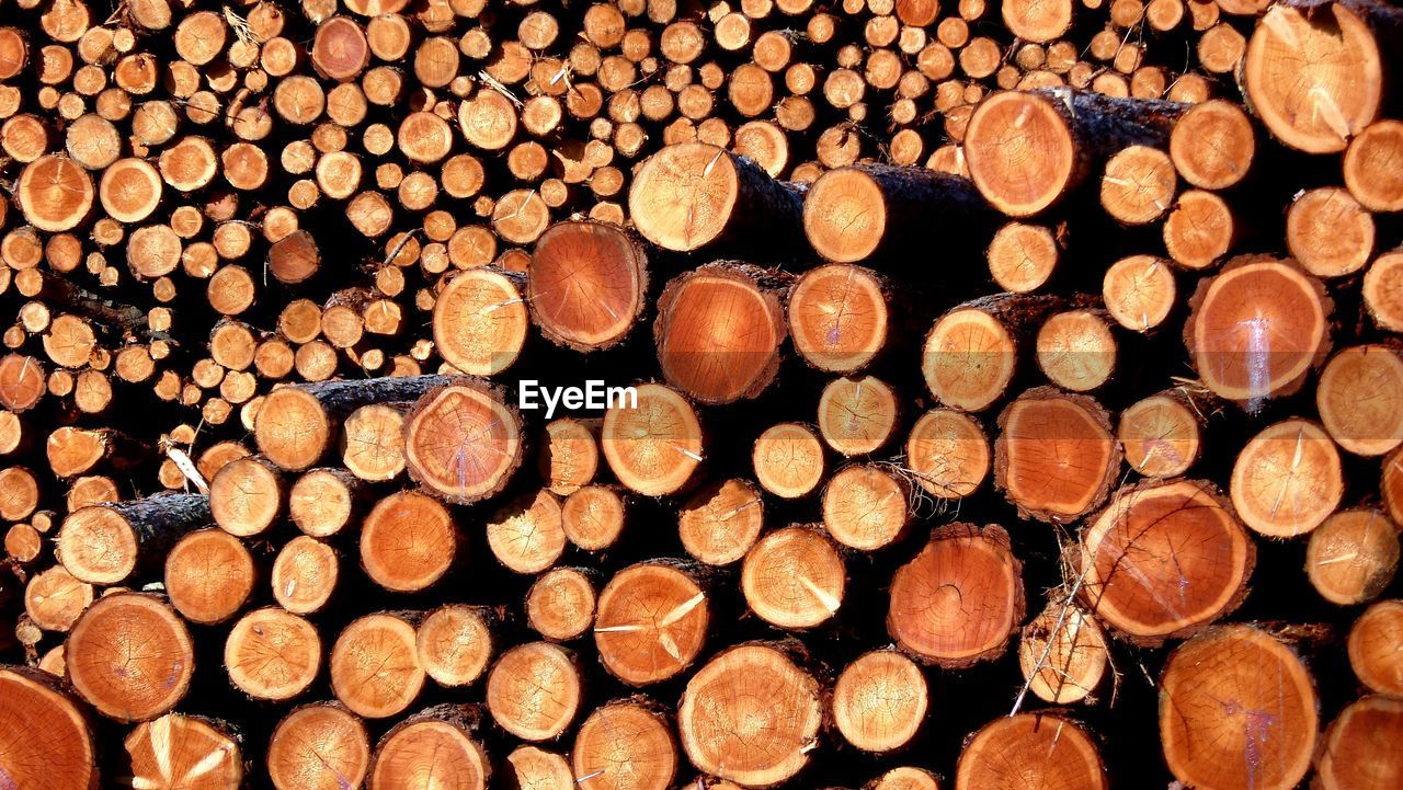 Full frame shot of logs