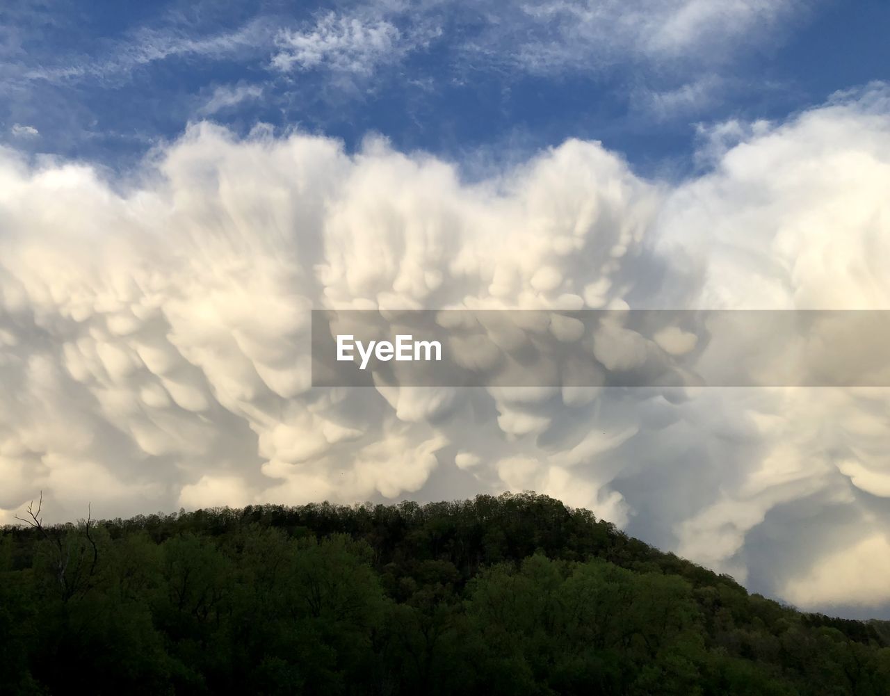 sky, cloud, nature, tree, environment, plant, beauty in nature, horizon, landscape, scenics - nature, sunlight, no people, forest, land, hill, cloudscape, outdoors, tranquility, dramatic sky, morning, blue, day, tranquil scene, non-urban scene, travel, idyllic