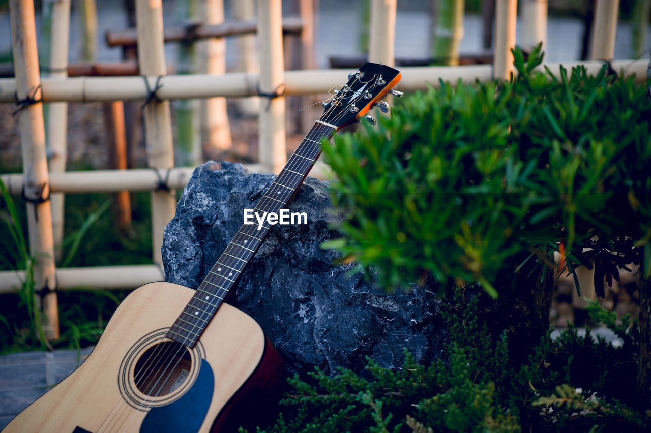 Guitar in park