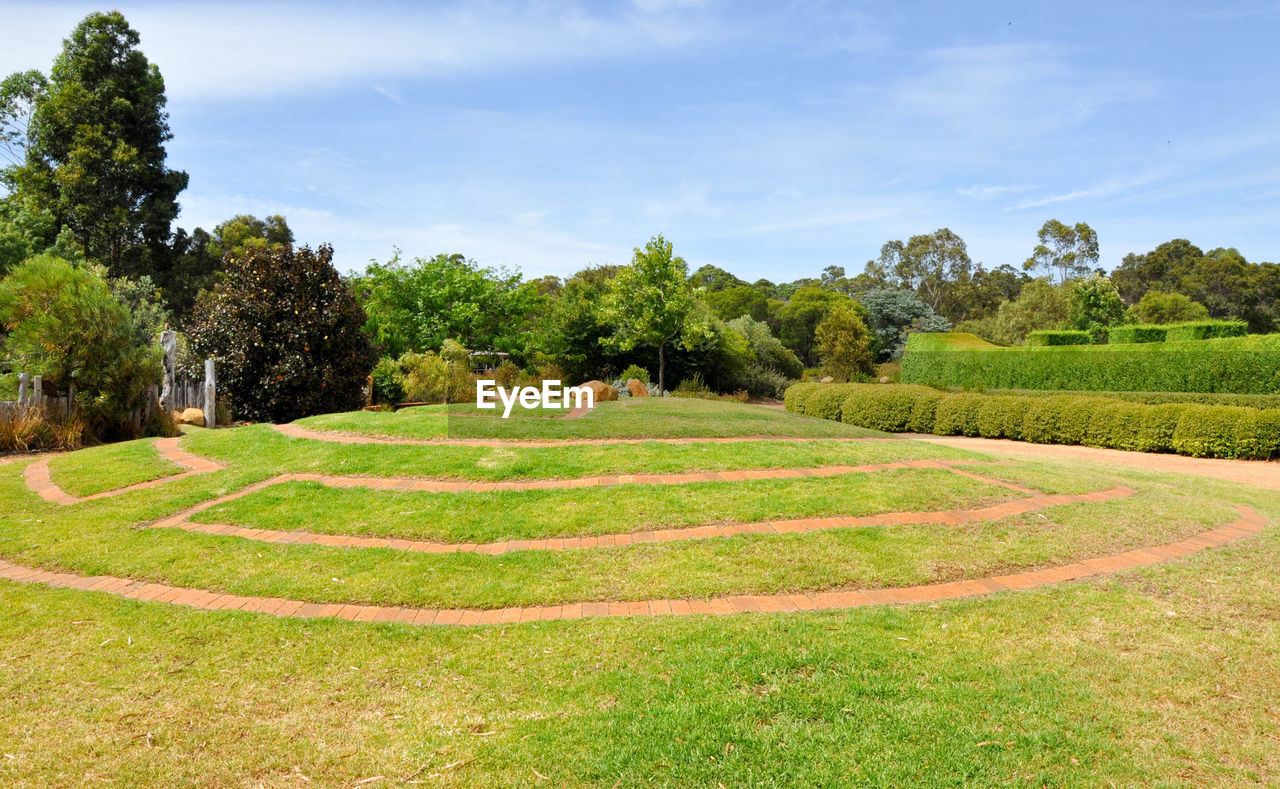 SCENIC VIEW OF GREEN FIELD AGAINST SKY