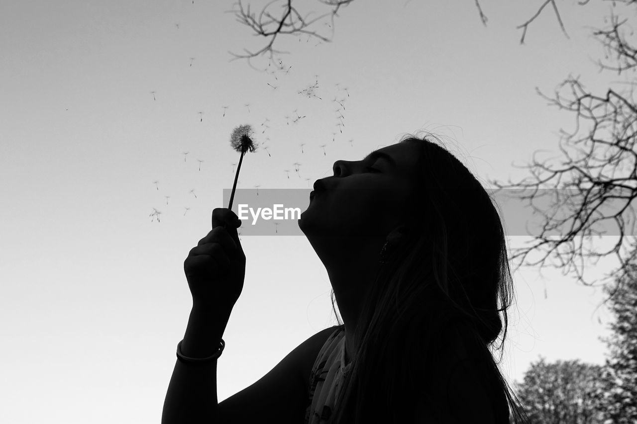 Silhouette of girl holding a dandelion flower