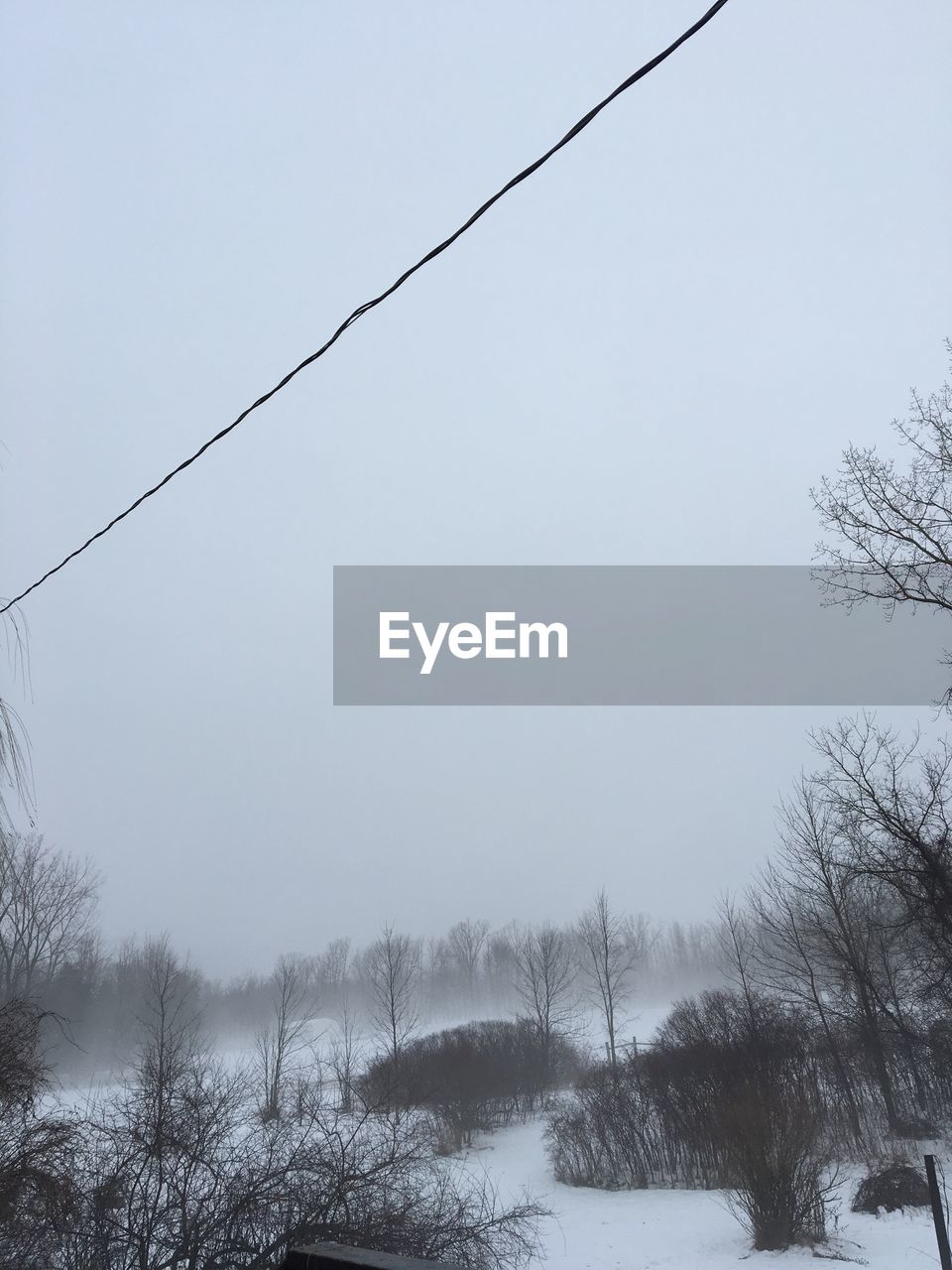 LOW ANGLE VIEW OF TREE AGAINST SKY