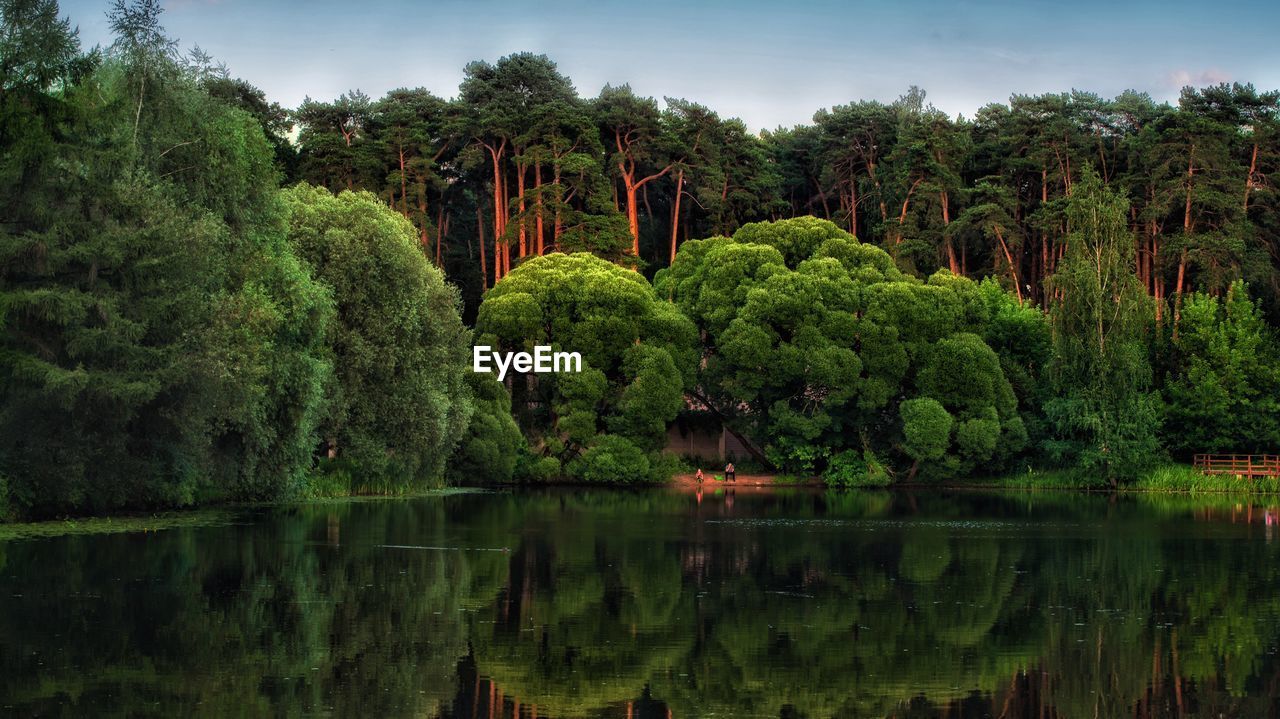 Scenic view of lake by trees against sky