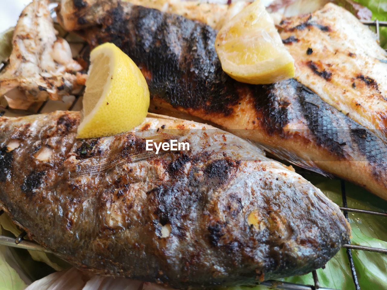 CLOSE-UP OF FISH ON GRILL