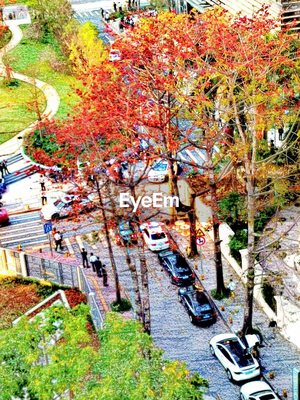 HIGH ANGLE VIEW OF PARK DURING AUTUMN