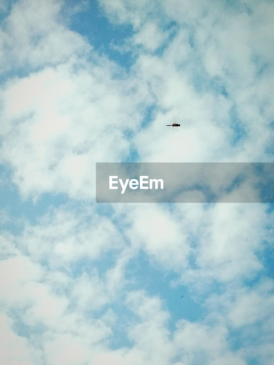 LOW ANGLE VIEW OF AIRPLANE AGAINST SKY