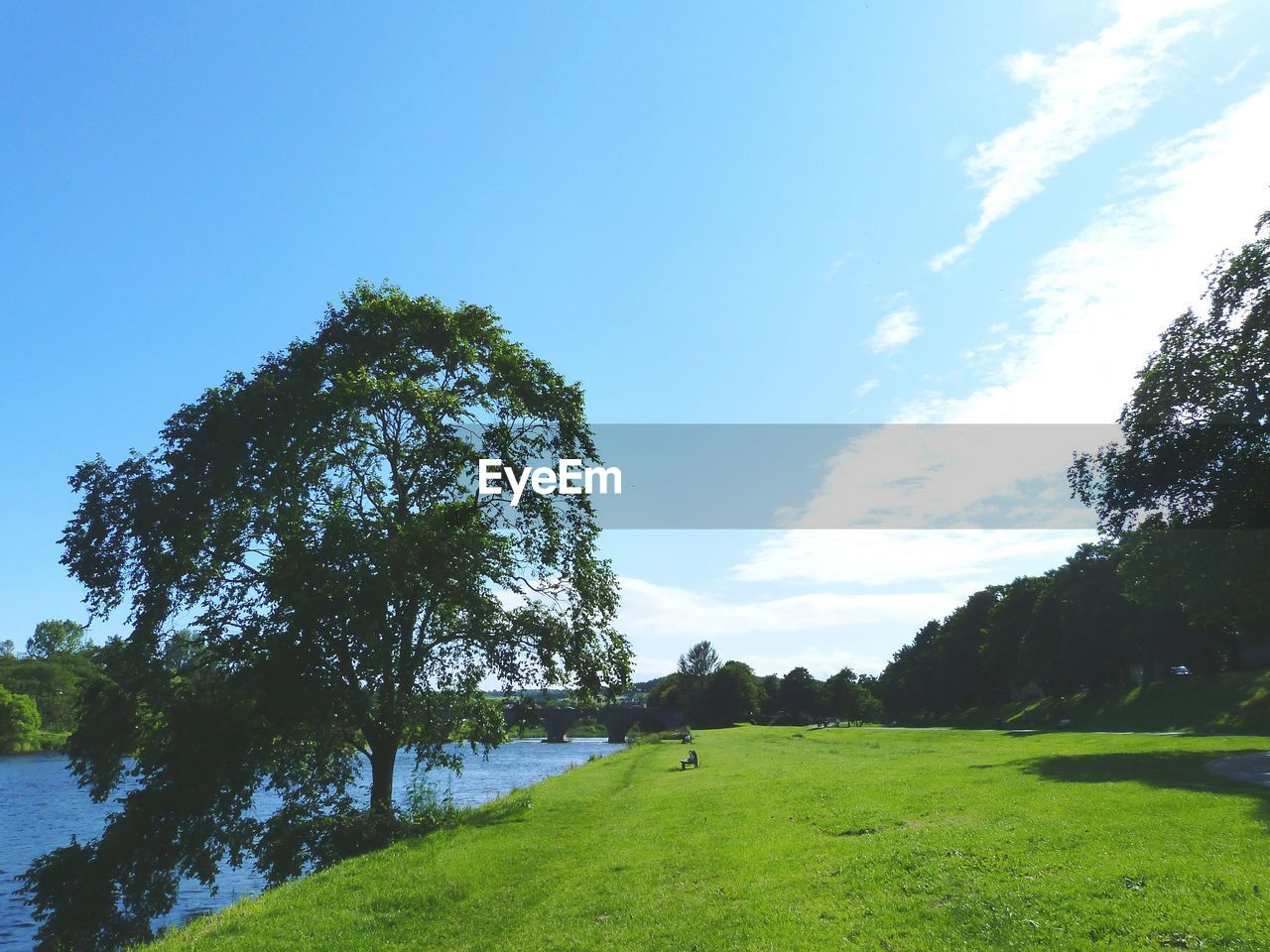 Scenic view of grassy field by lake against sky