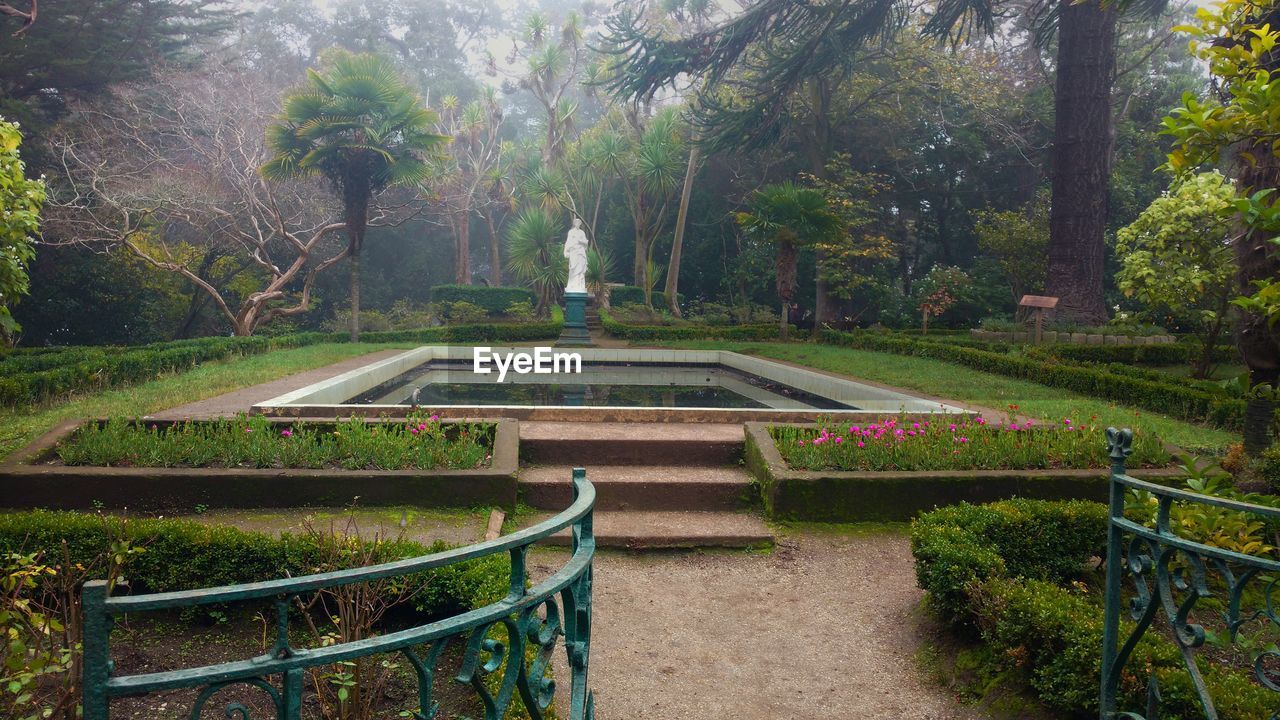 Formal garden with statue in background