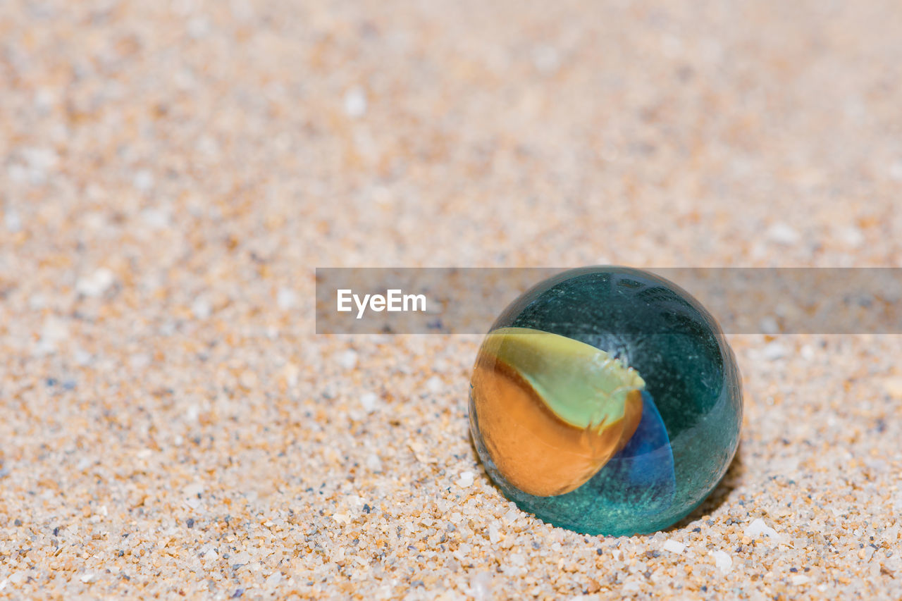 CLOSE-UP OF A SHELL ON BEACH