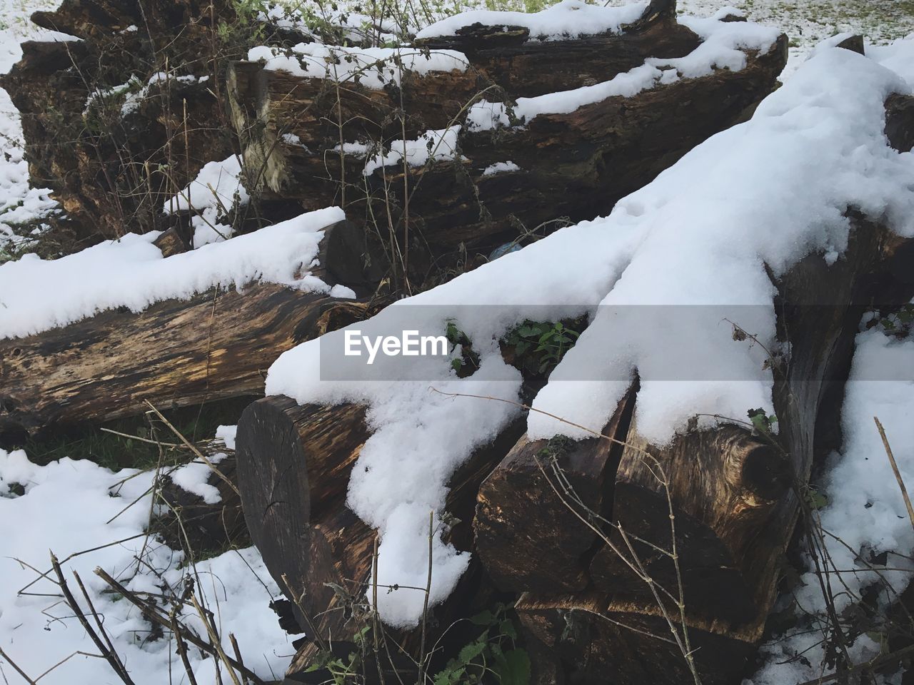 WHITE SNOW ON FIELD