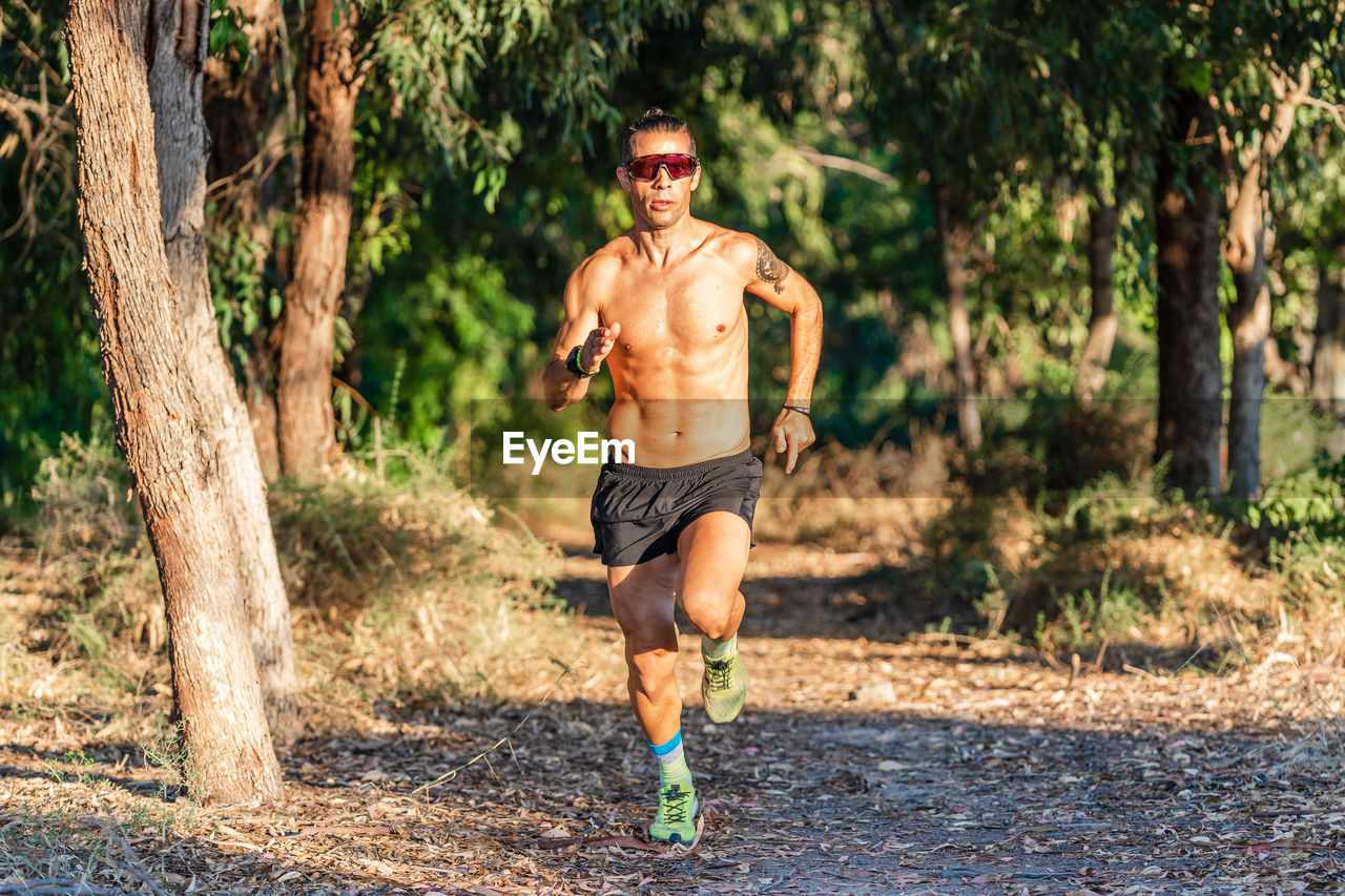 Full body of serious active sportsman in sunglasses running fast on path while training in green forest in summer day