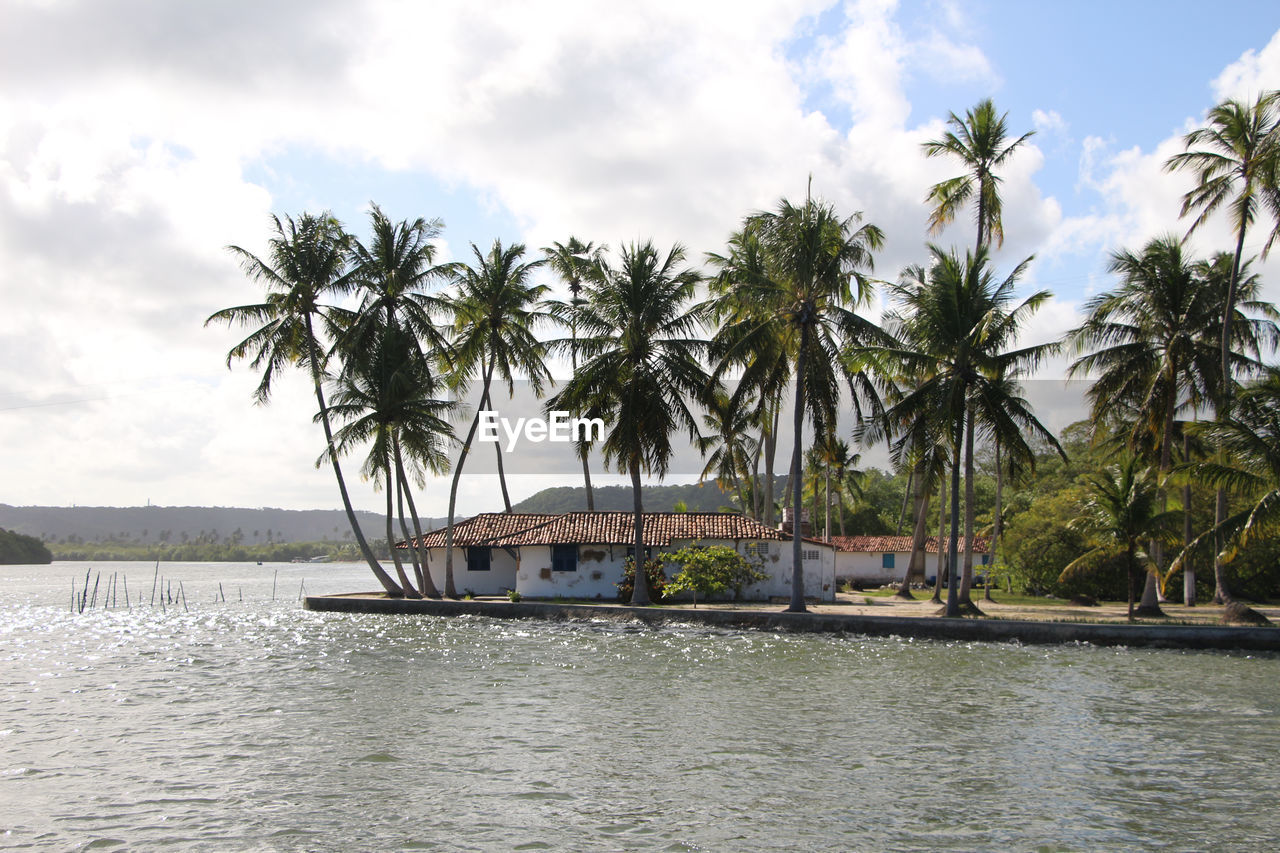 Simple houses on an island surrounded by coconut trees on a sunny and windy afternoon