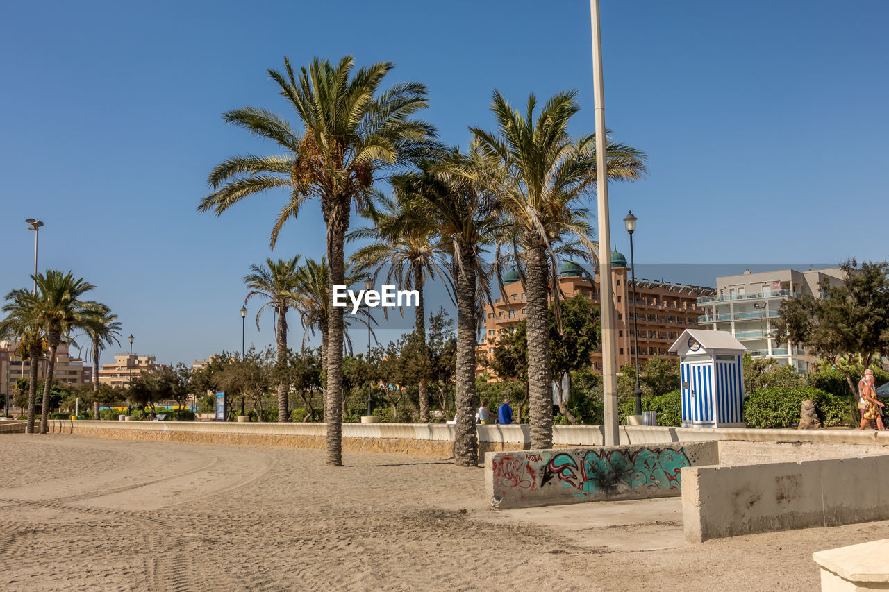 SCENIC VIEW OF PALM TREES AND BUILDINGS AGAINST SKY