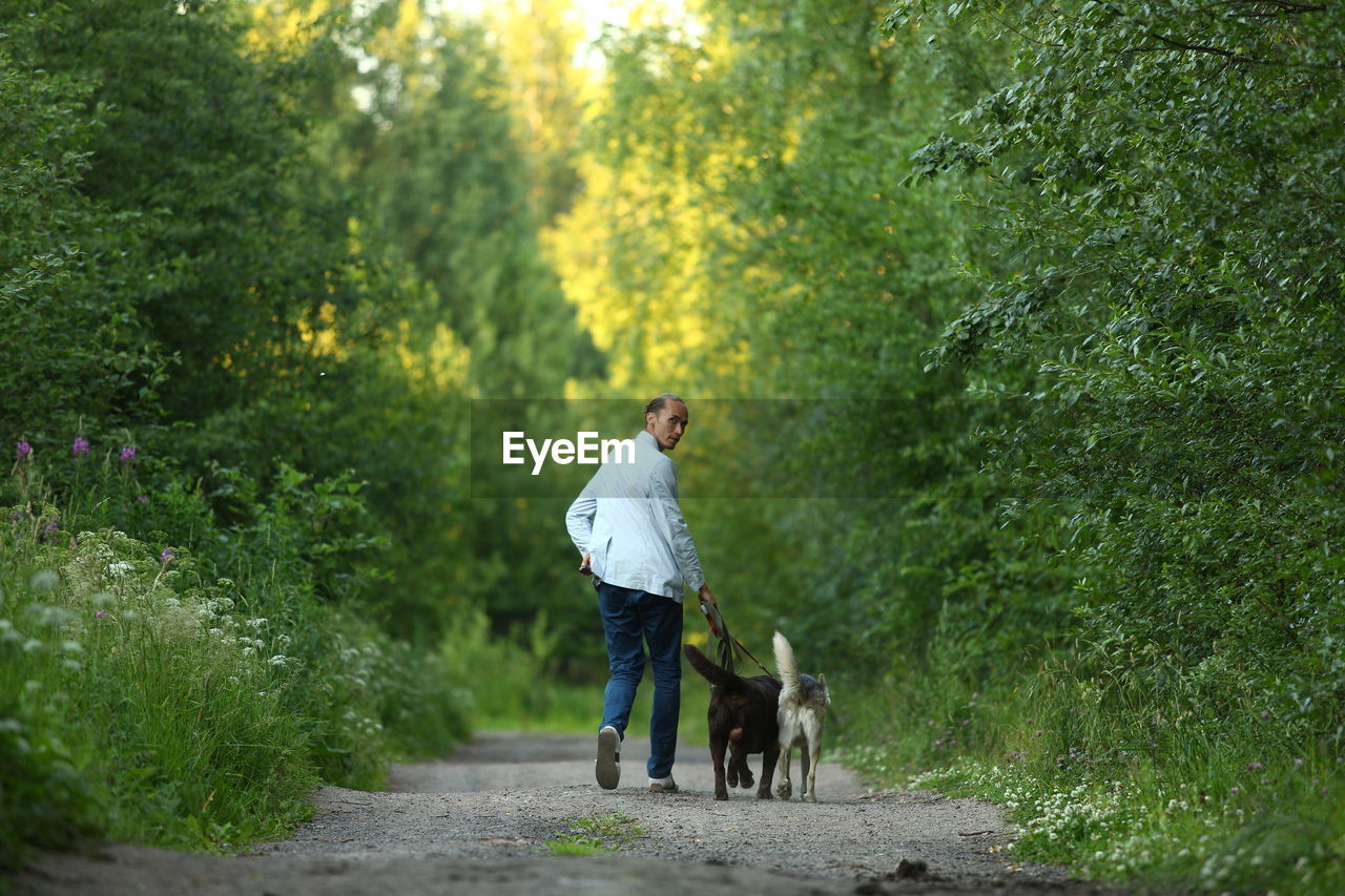 REAR VIEW OF MAN WITH DOG WALKING IN THE FOREST