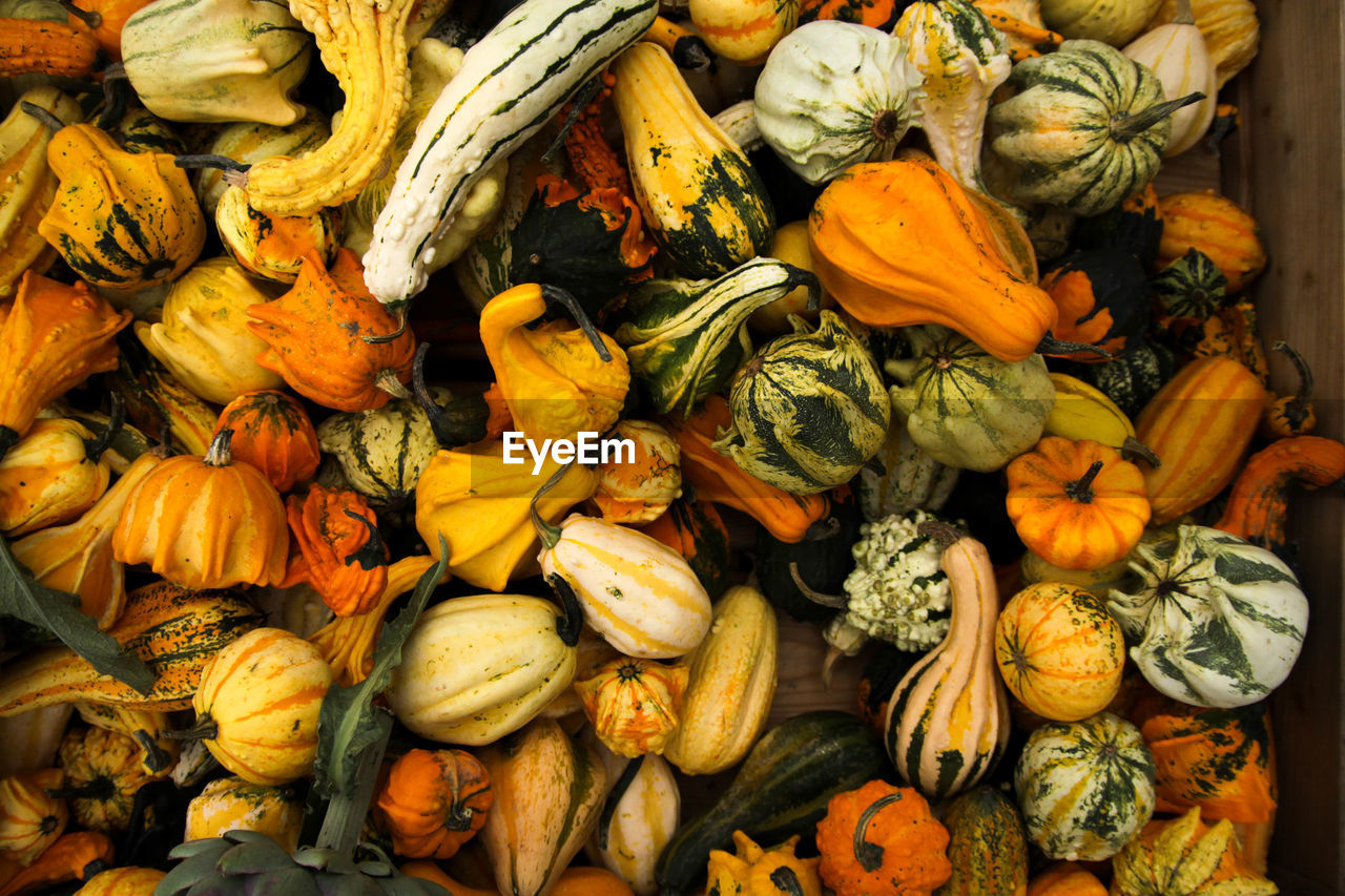 FULL FRAME SHOT OF PUMPKINS