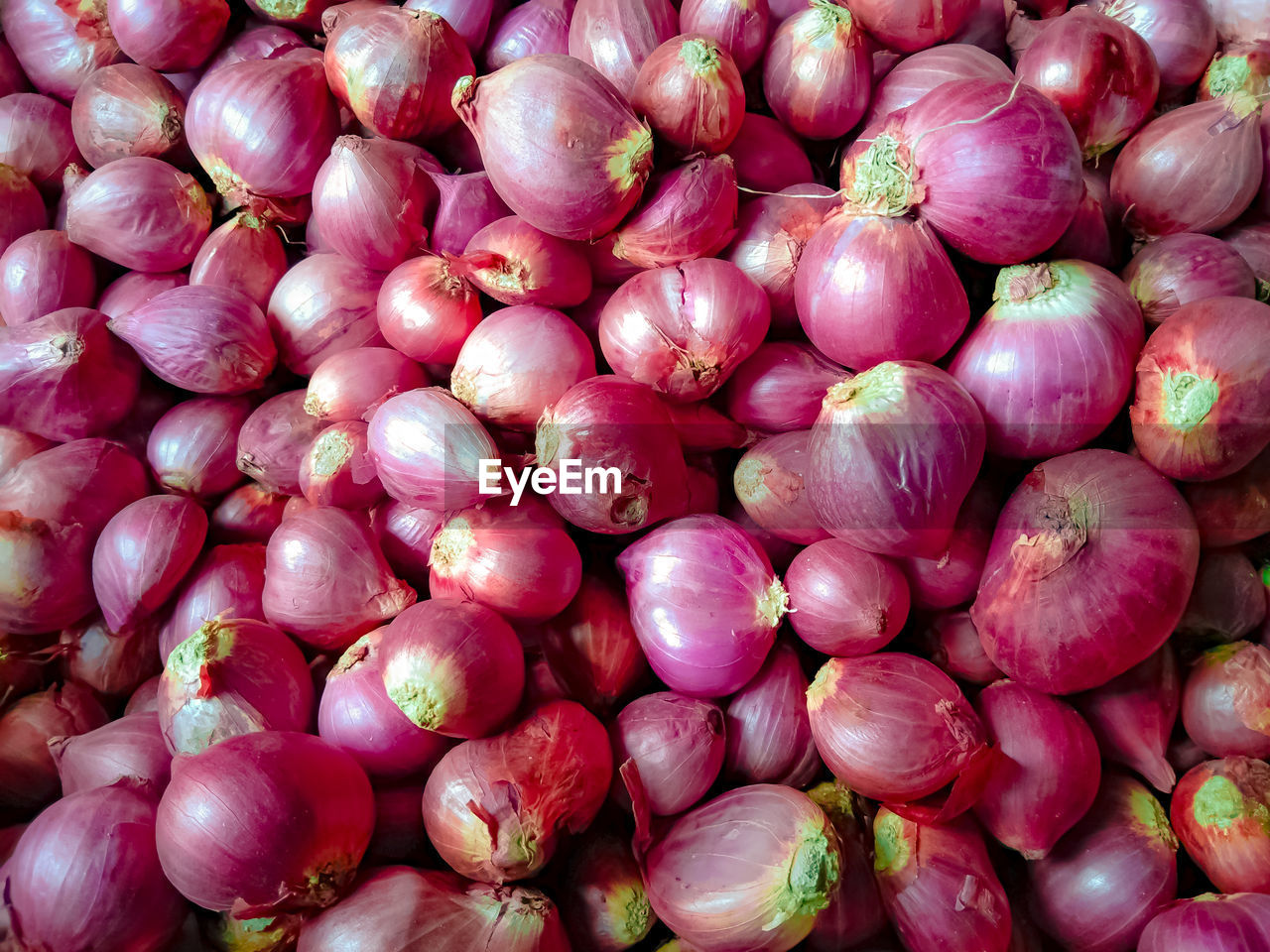 Full frame shot of red onions