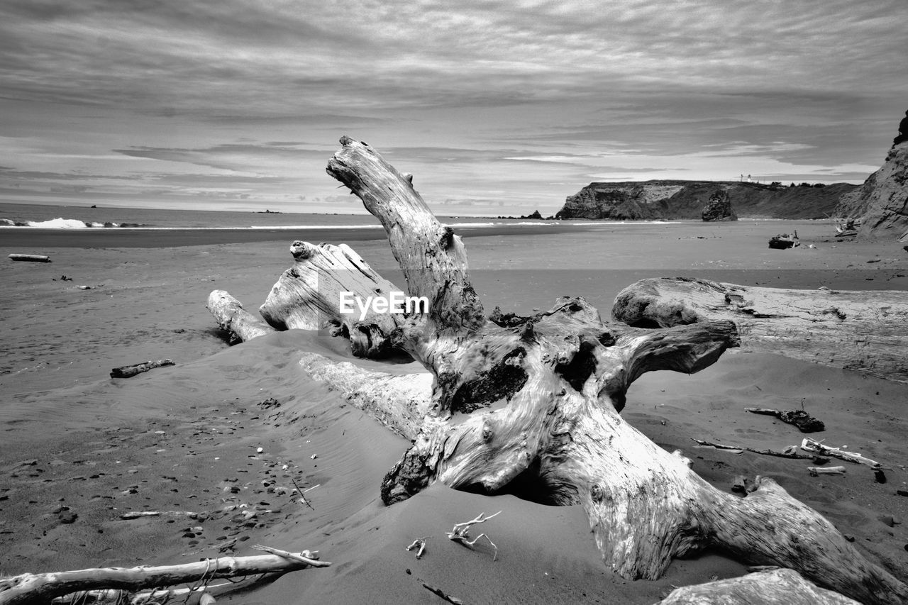 Abandoned driftwood on beach against sky