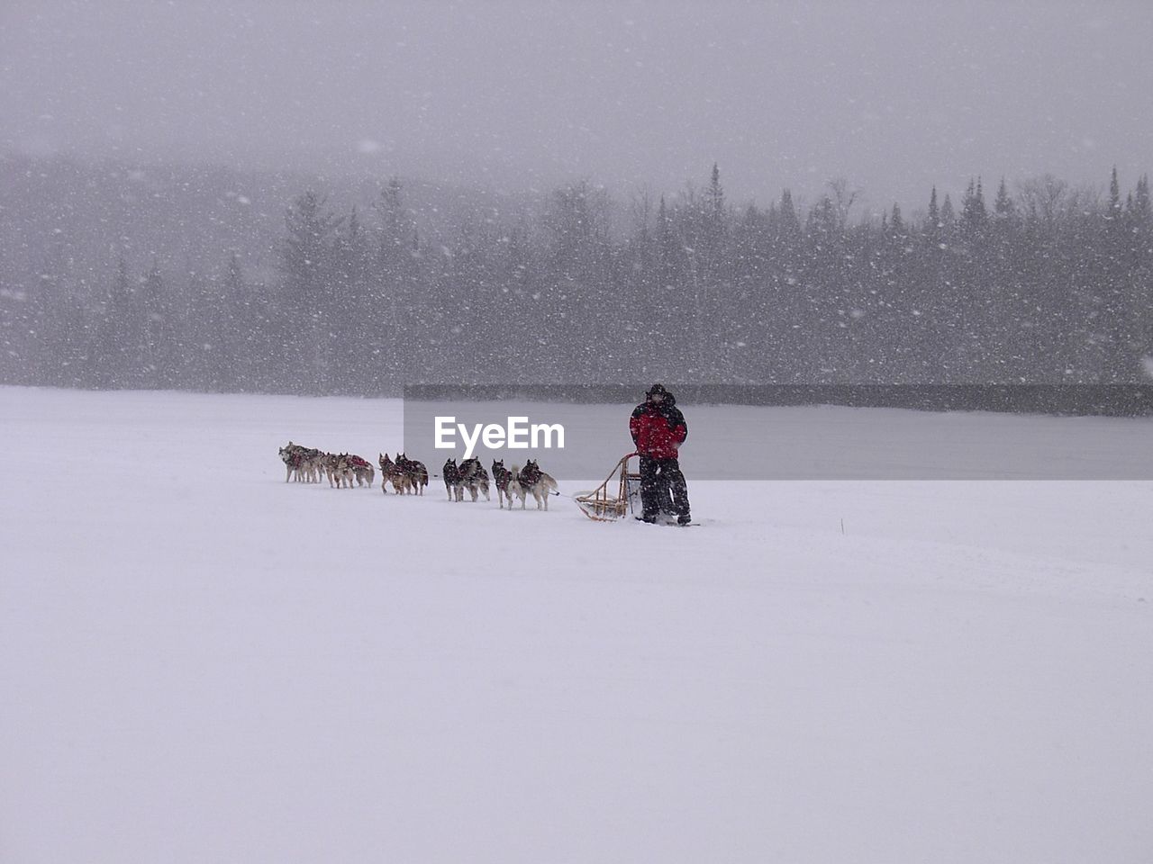 Person riding sled on snow field