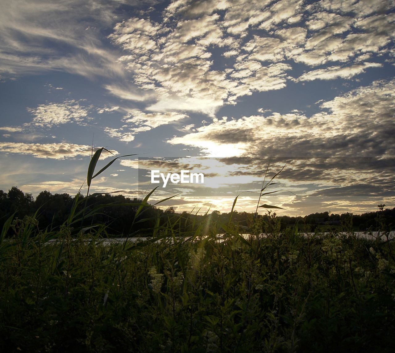 Scenic view of field against cloudy sky