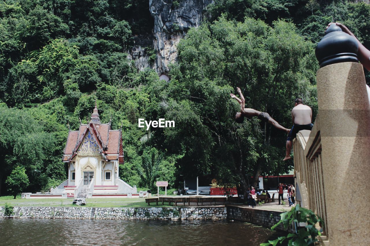 Statue by trees against plants