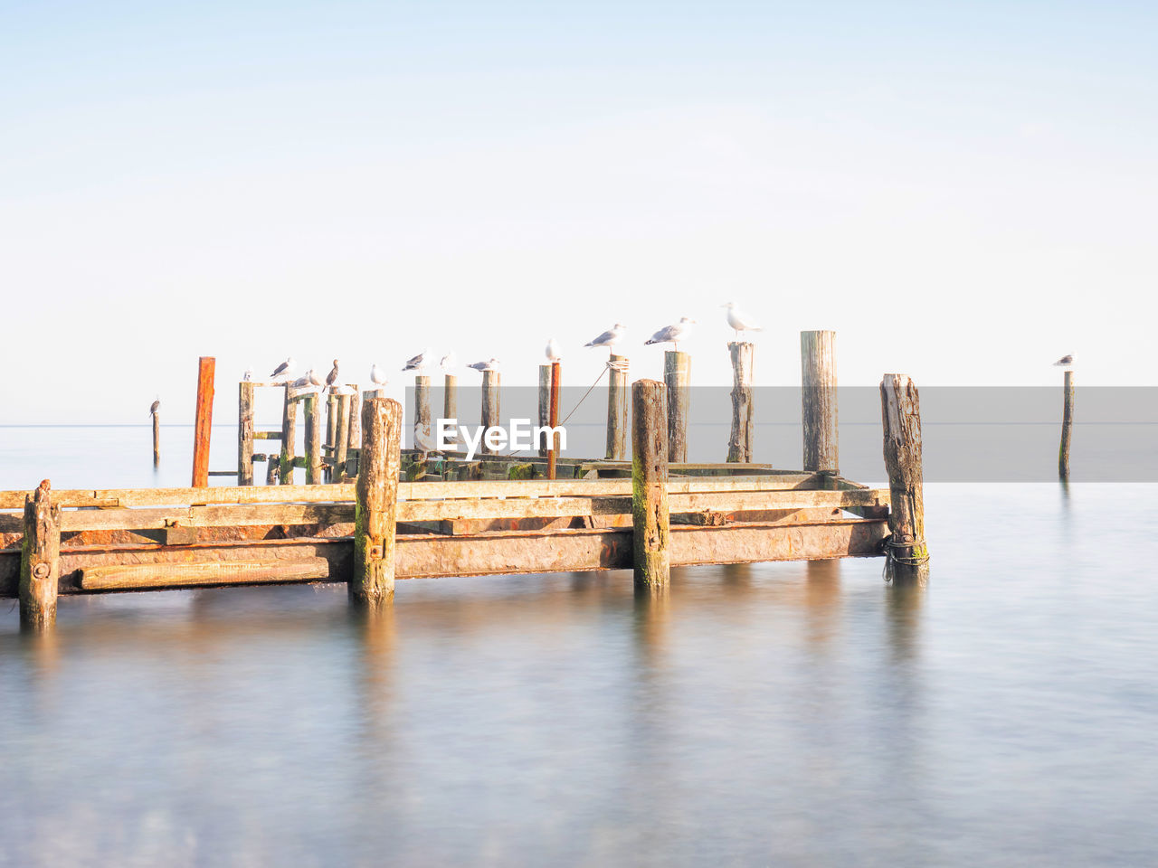 Rest of pillars and poles of port mole in fishing village of vitt near kap arkona on ruegen island