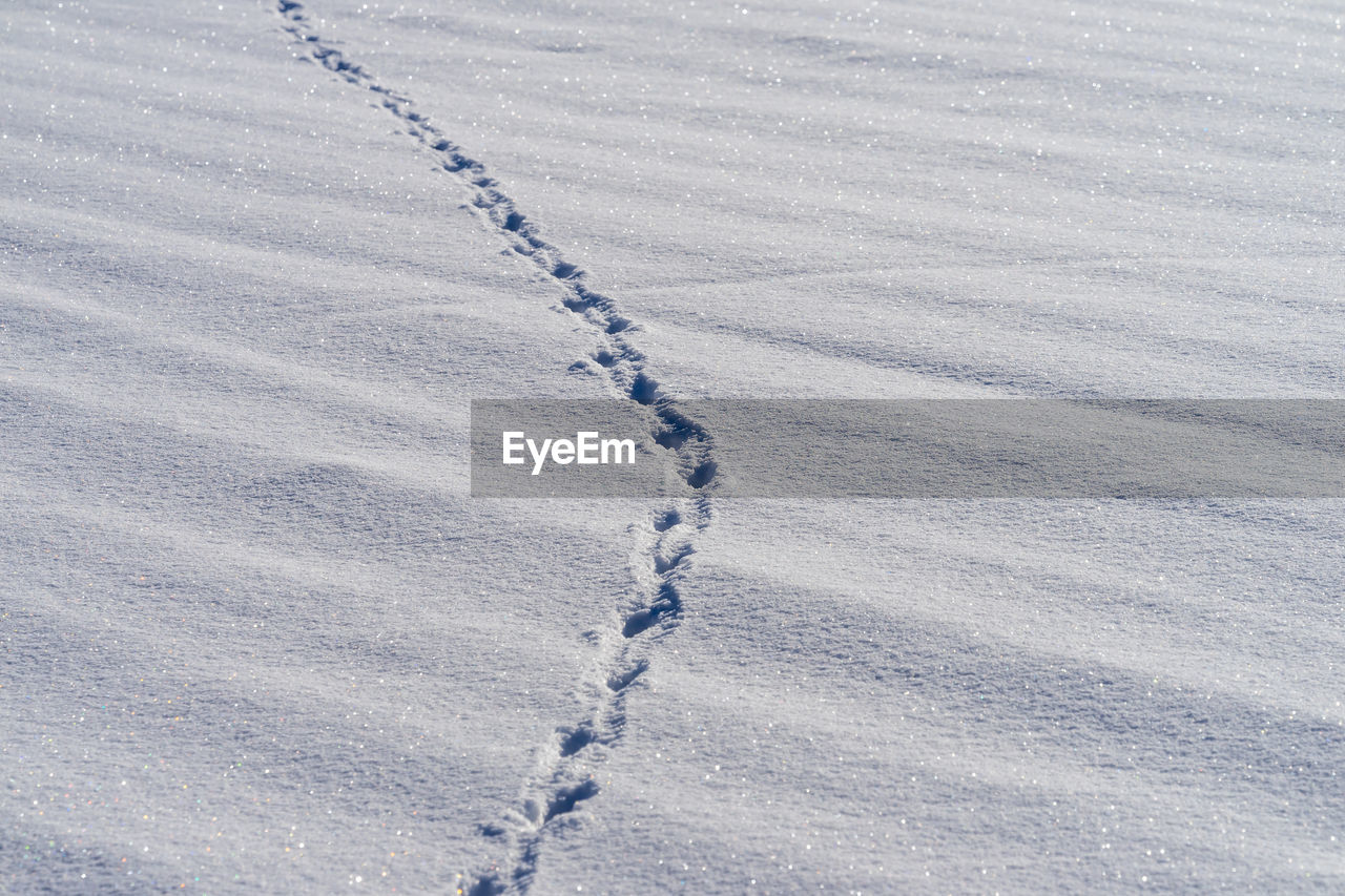 High angle view of footprints on snowy field