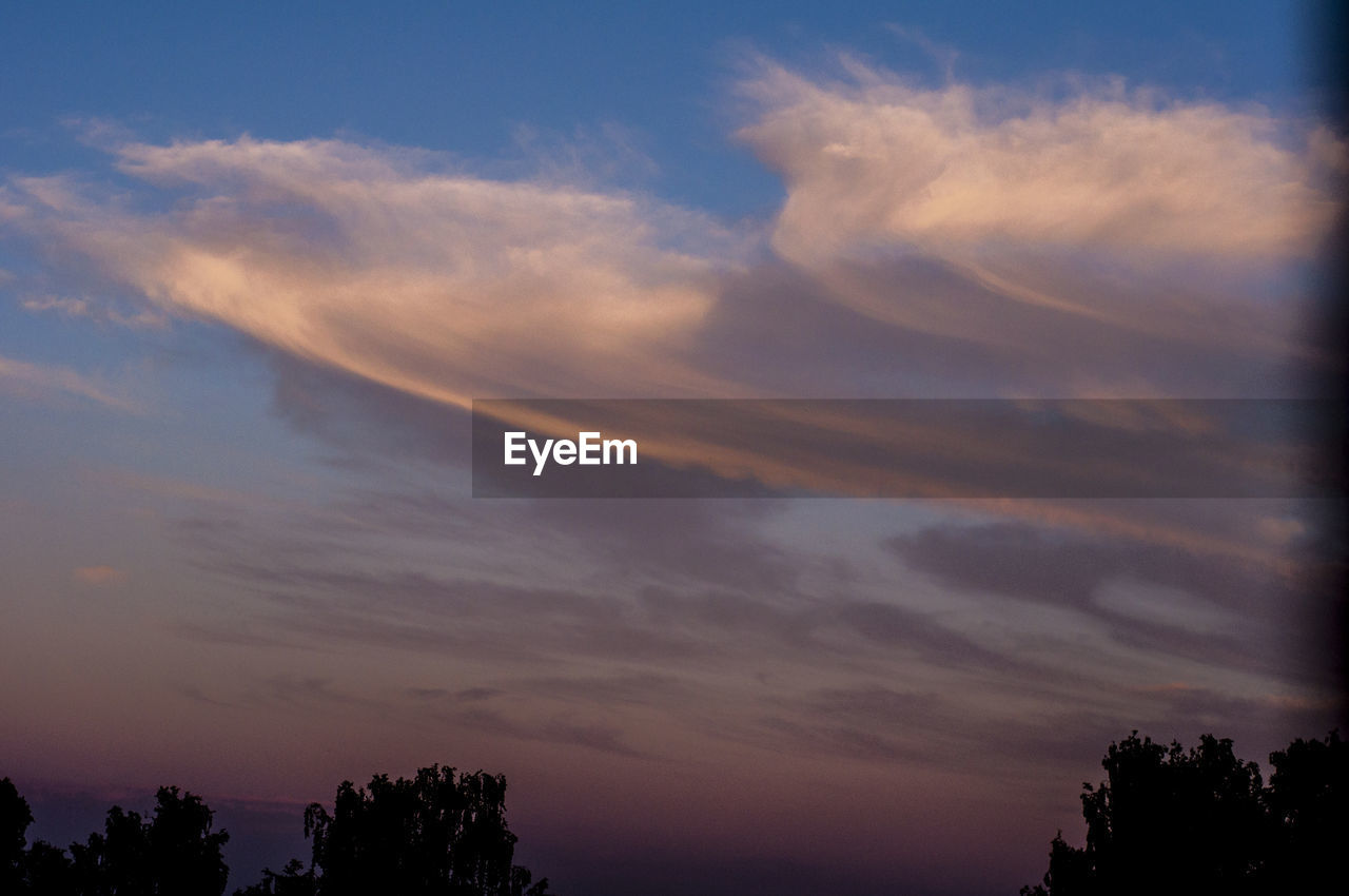 Low angle view of silhouette trees against sky during sunset