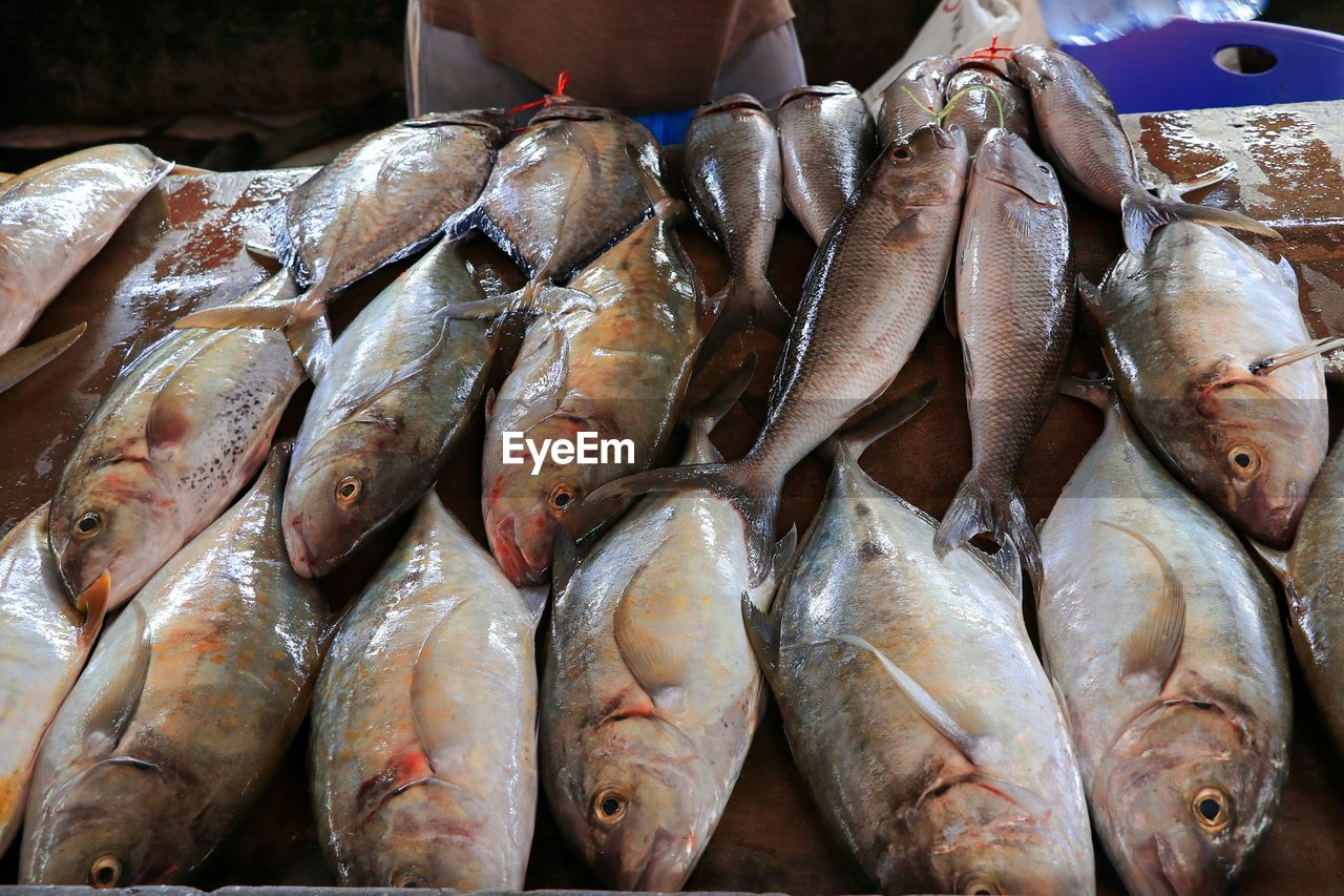 CLOSE-UP OF FISH FOR SALE IN MARKET