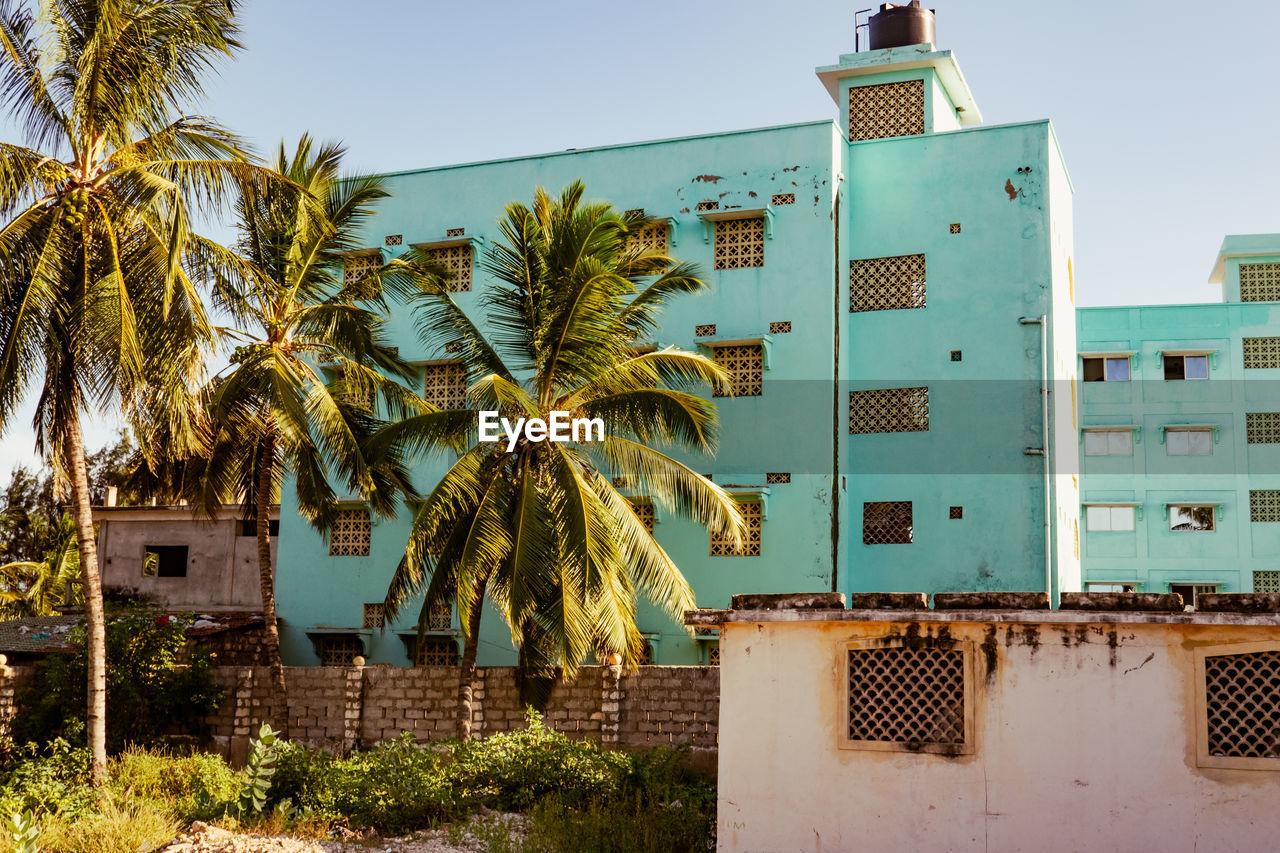 Beach front apartments amidst palm trees at mambrui beach in malindi, kilifi county, kenya