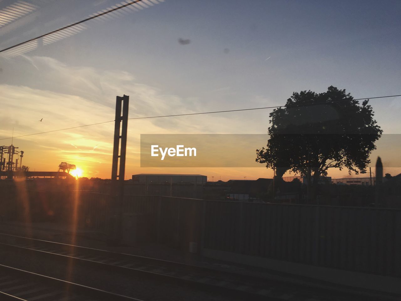 SILHOUETTE OF TREES AT SUNSET