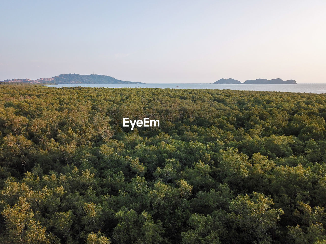 SCENIC VIEW OF LAND AGAINST SKY