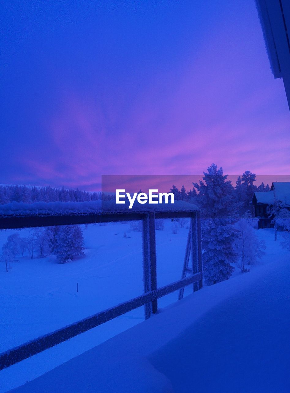 SCENIC VIEW OF TREES AGAINST BLUE SKY DURING WINTER