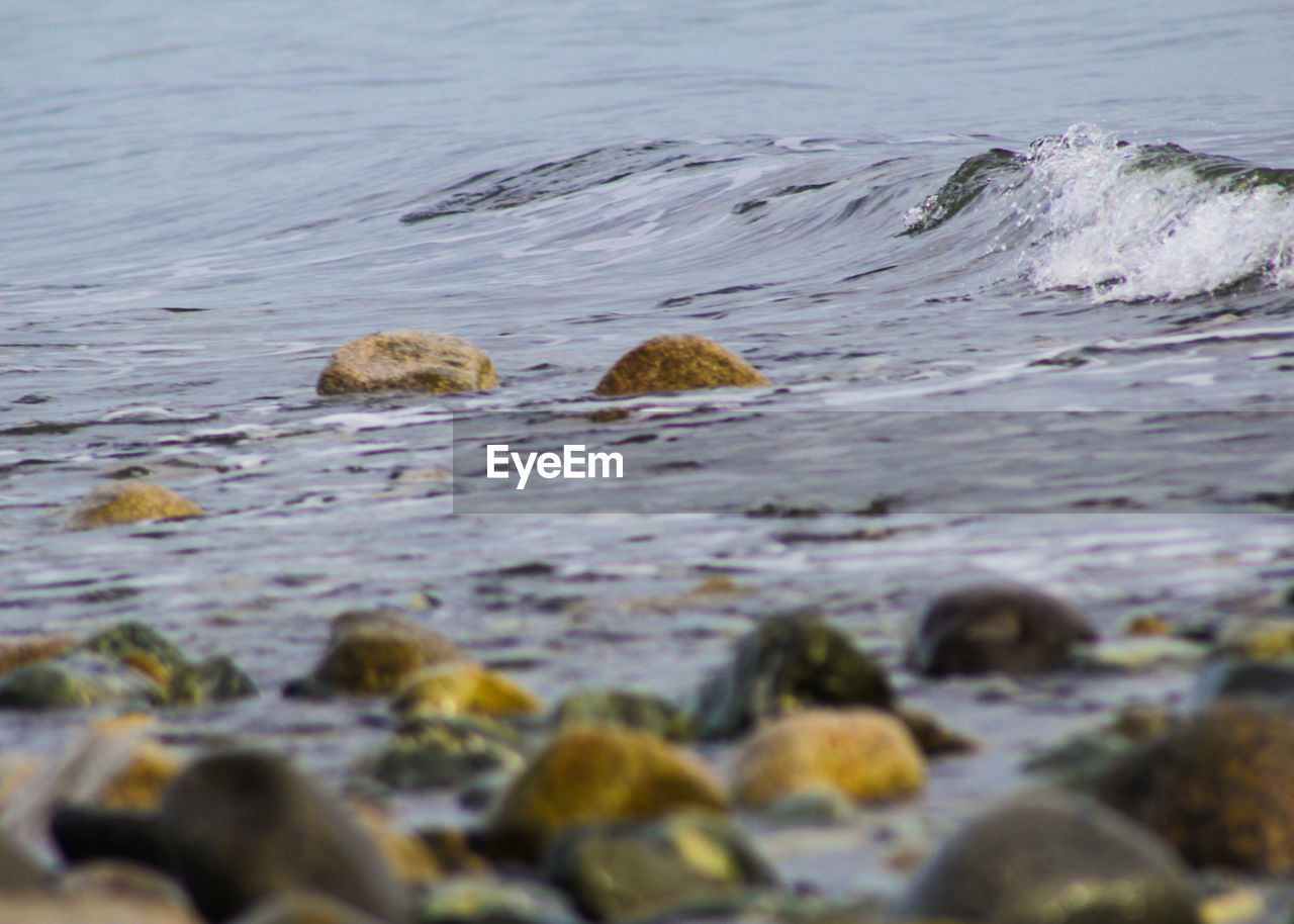 CLOSE-UP OF WATER ON BEACH